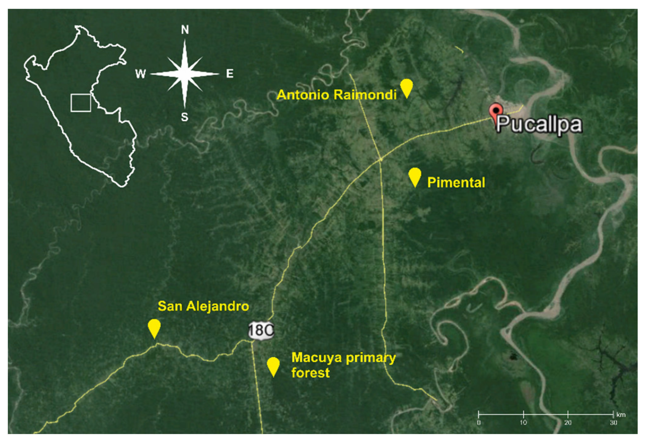 Forests 07 00082 g001