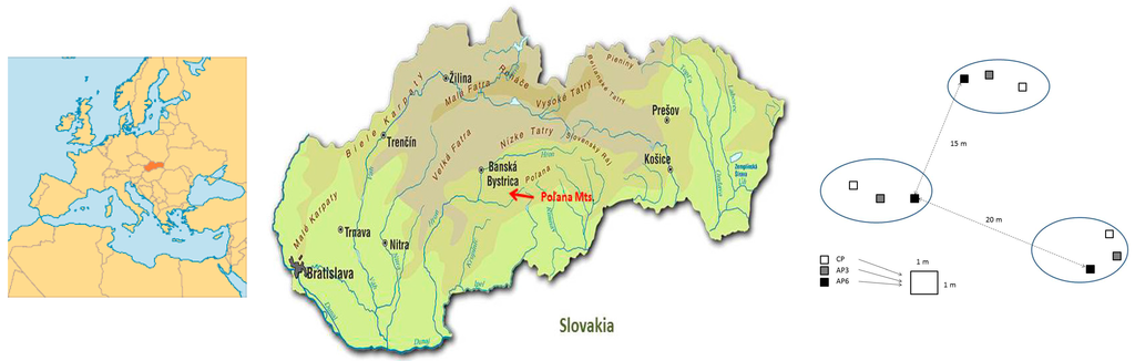 Forests 07 00108 g006 1024