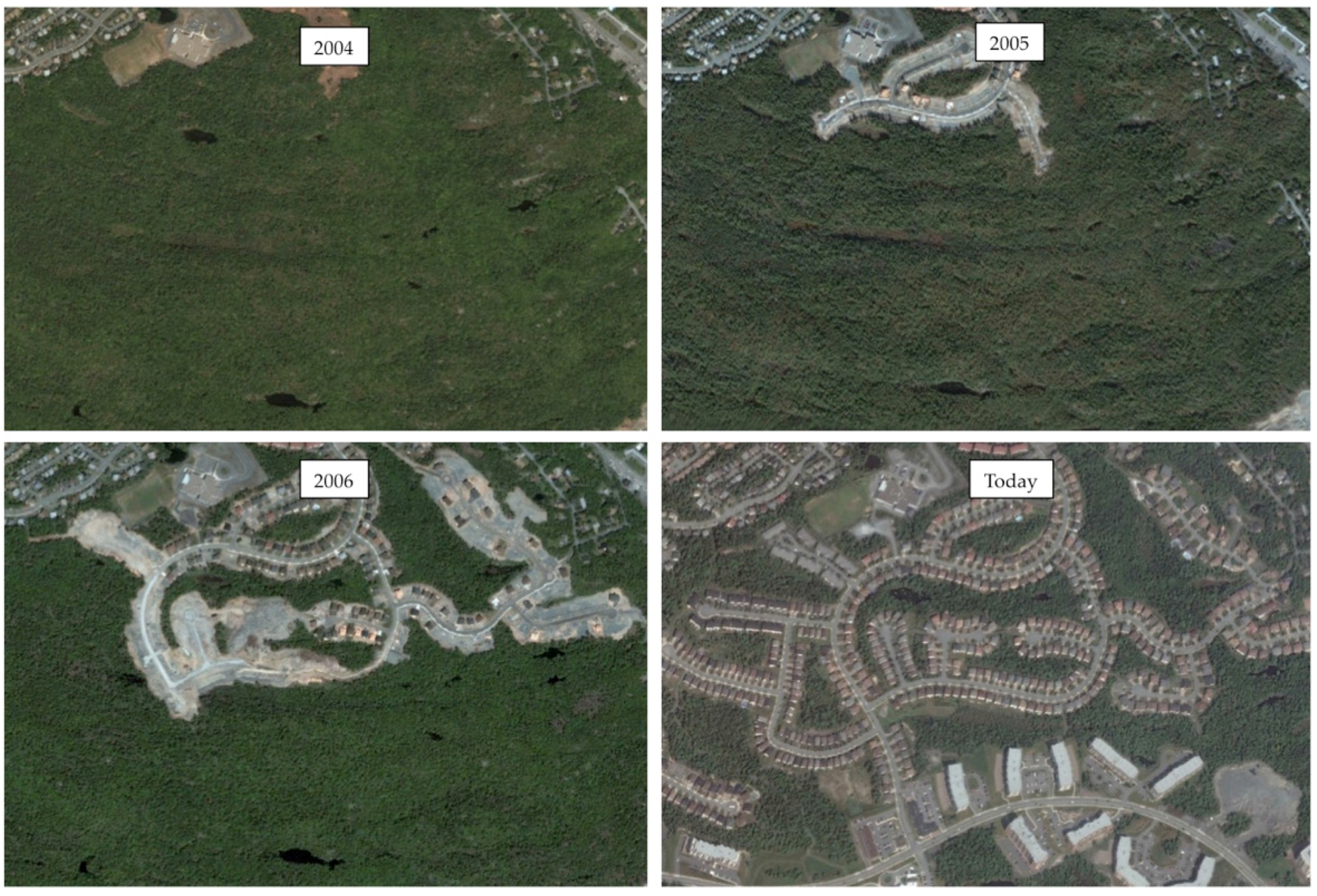 Forests 07 00119 g002