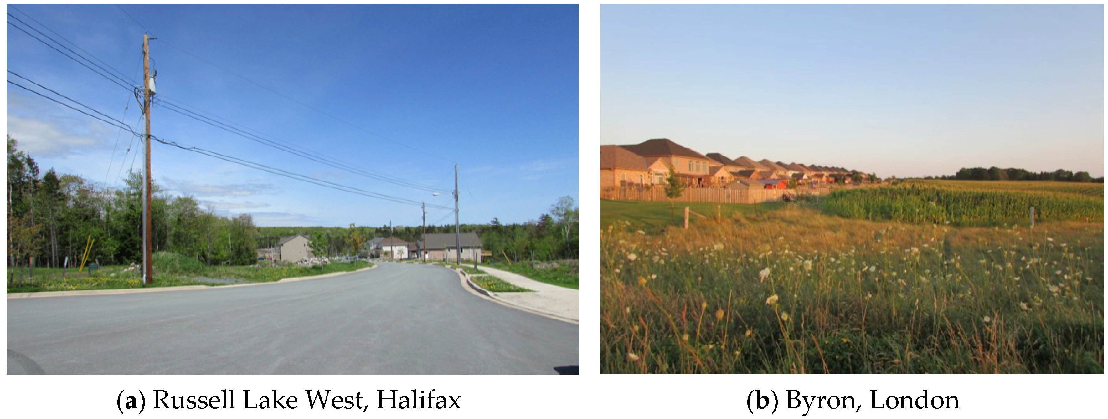 Forests 07 00119 g004