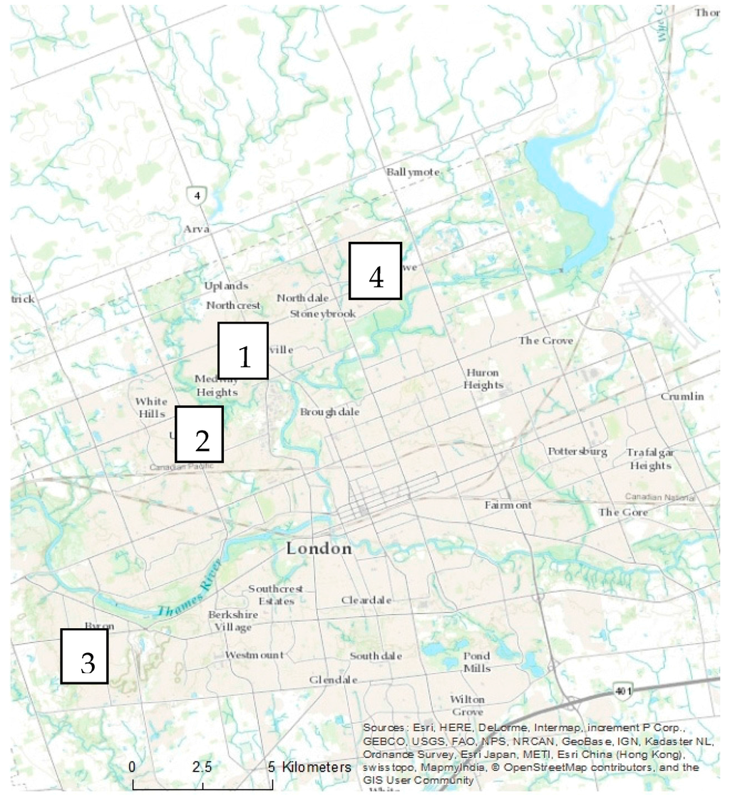 Forests 07 00119 g012 1024
