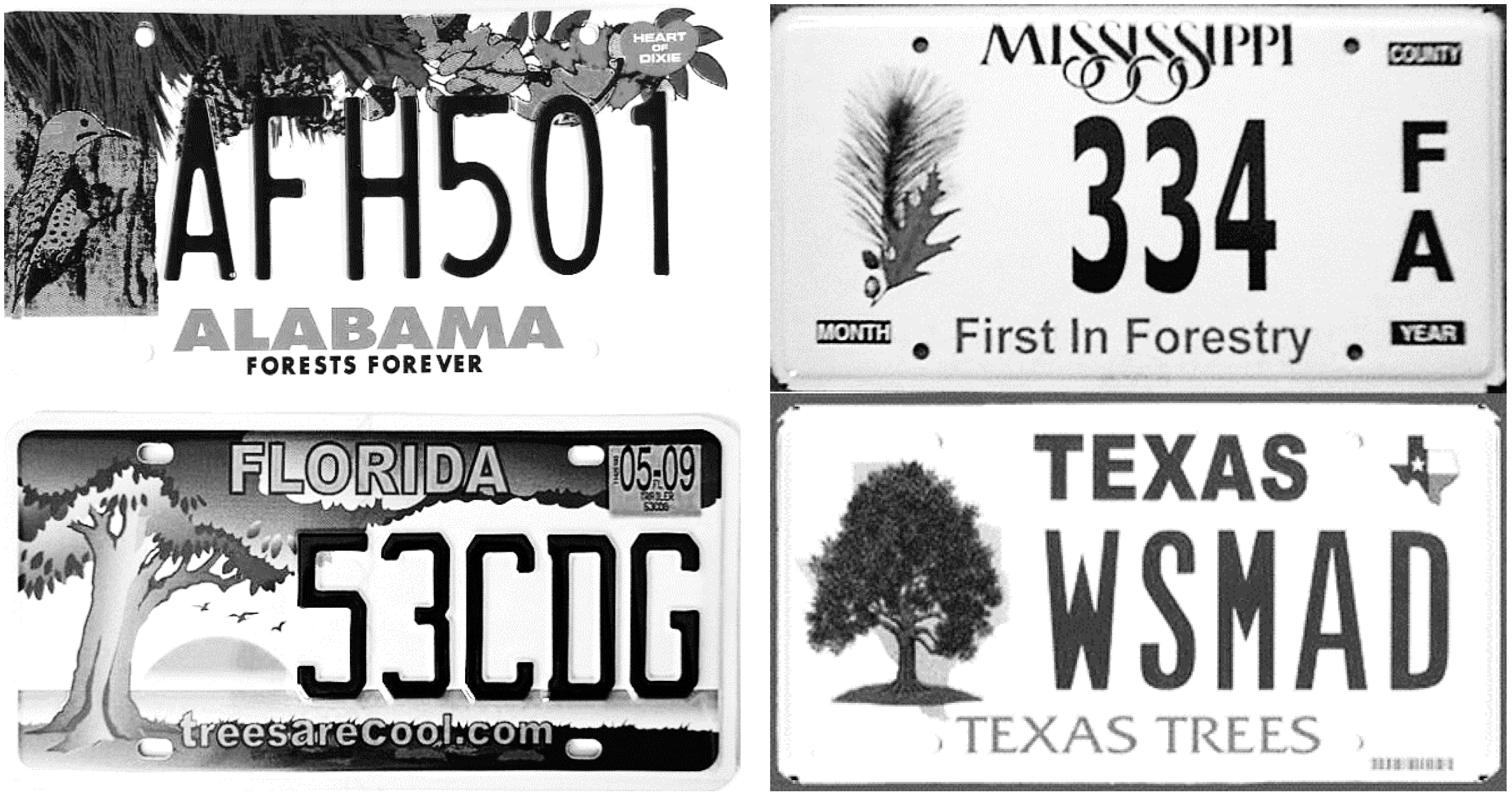 Forests 07 00145 g001a