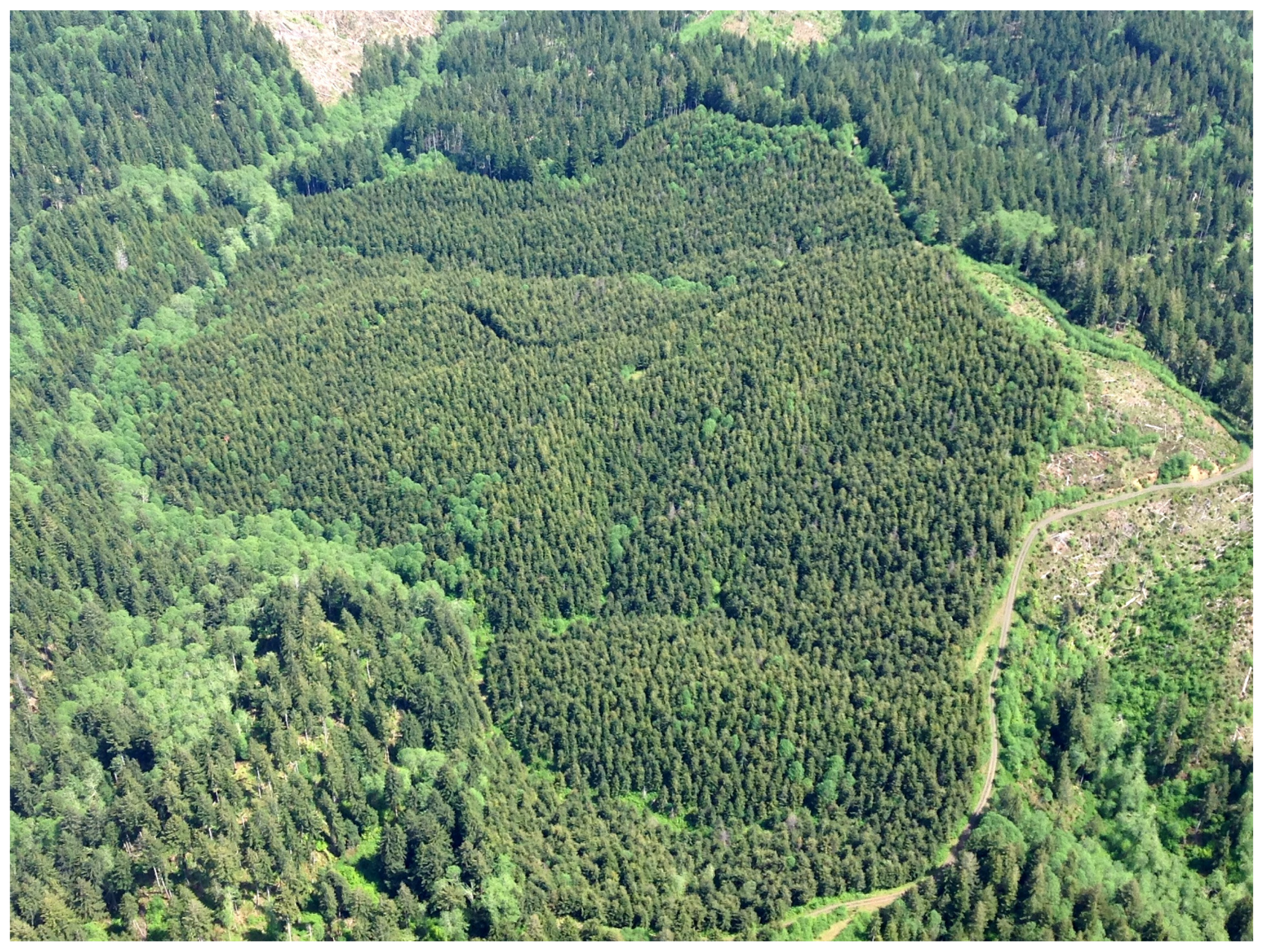 Forests 07 00155 g003