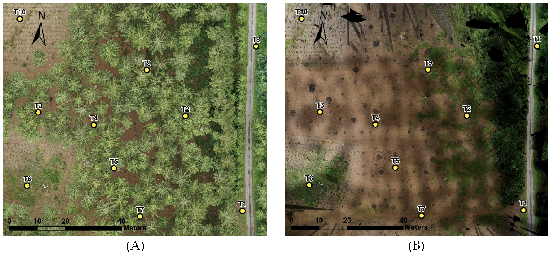 Forests 07 00165 g003