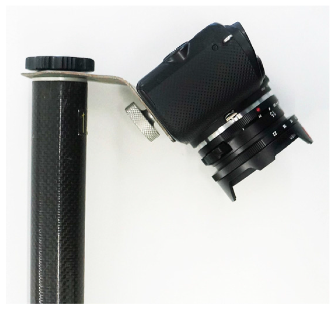 Forests 07 00165 g004