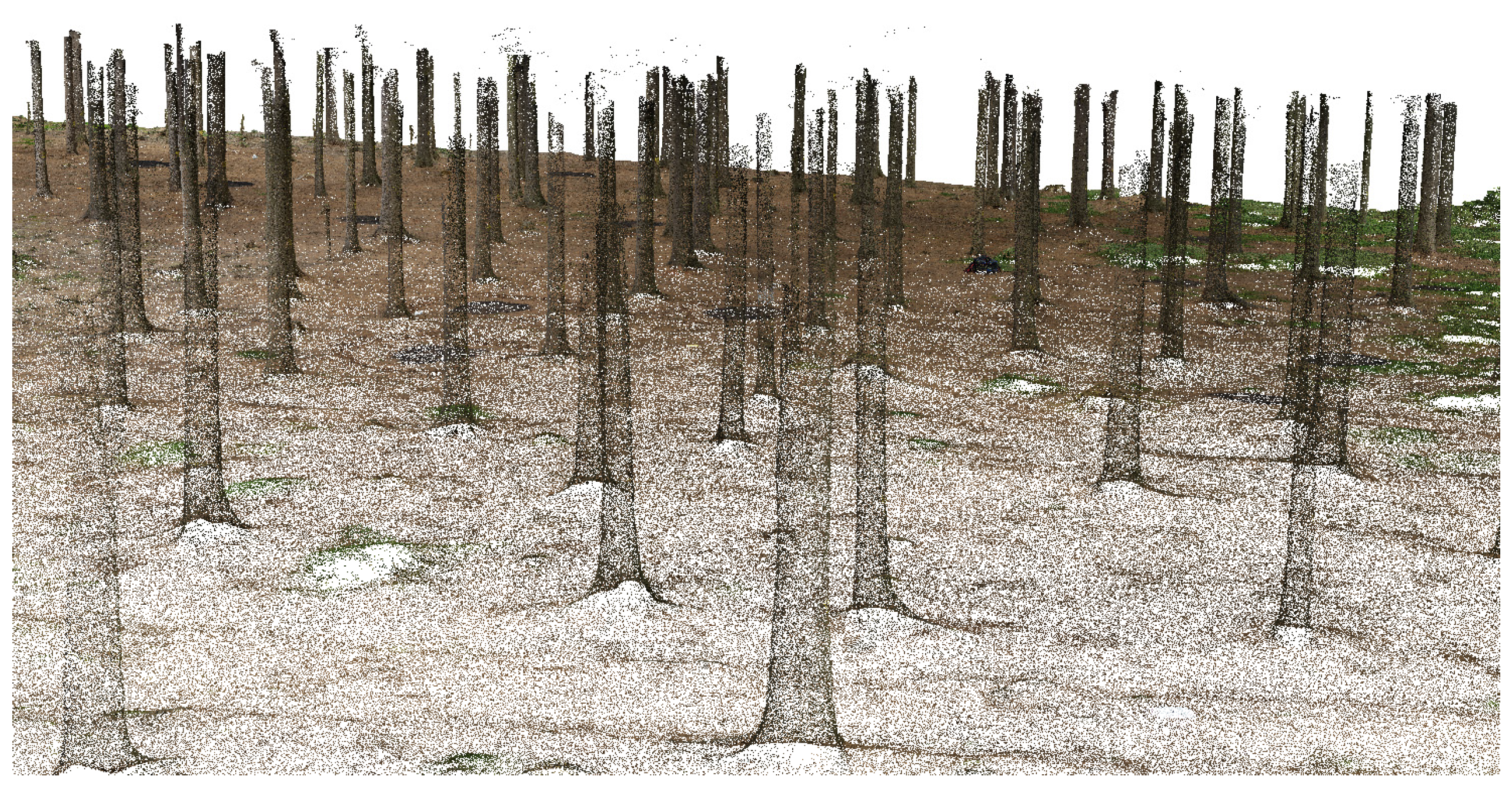 Forests 07 00165 g005