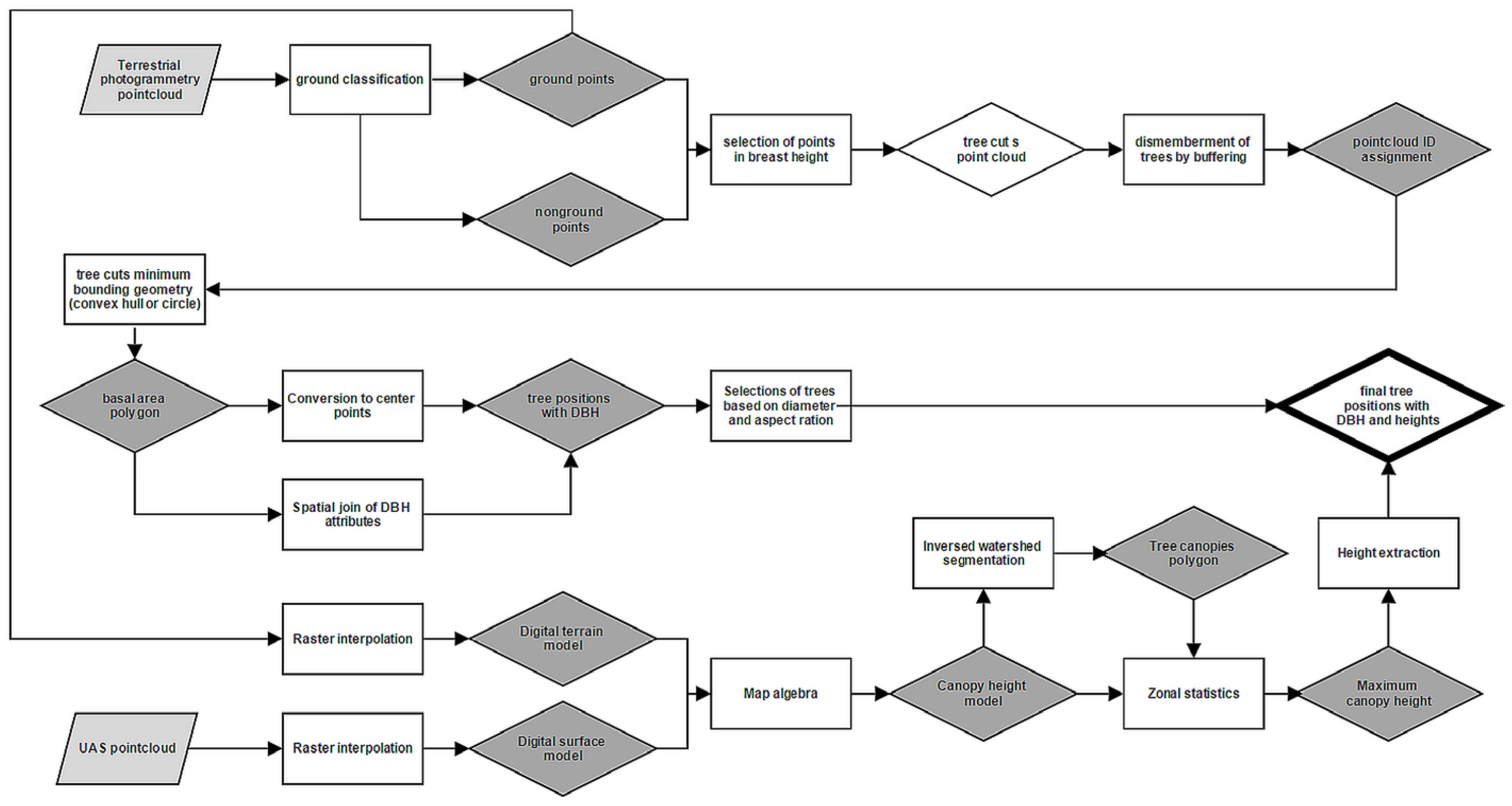 Forests 07 00165 g008