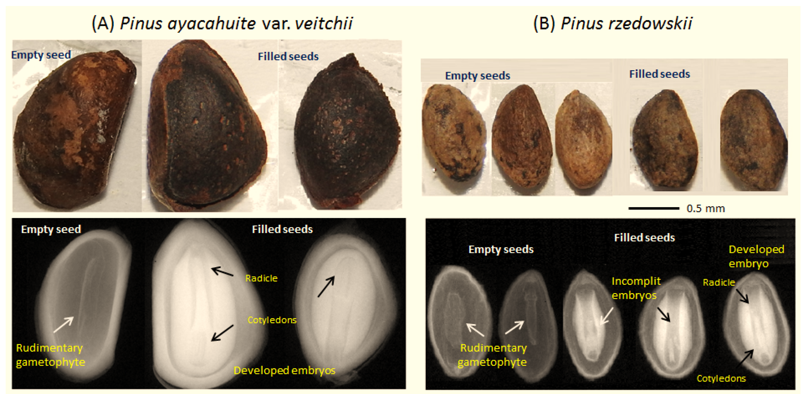 Forests 07 00178 g002