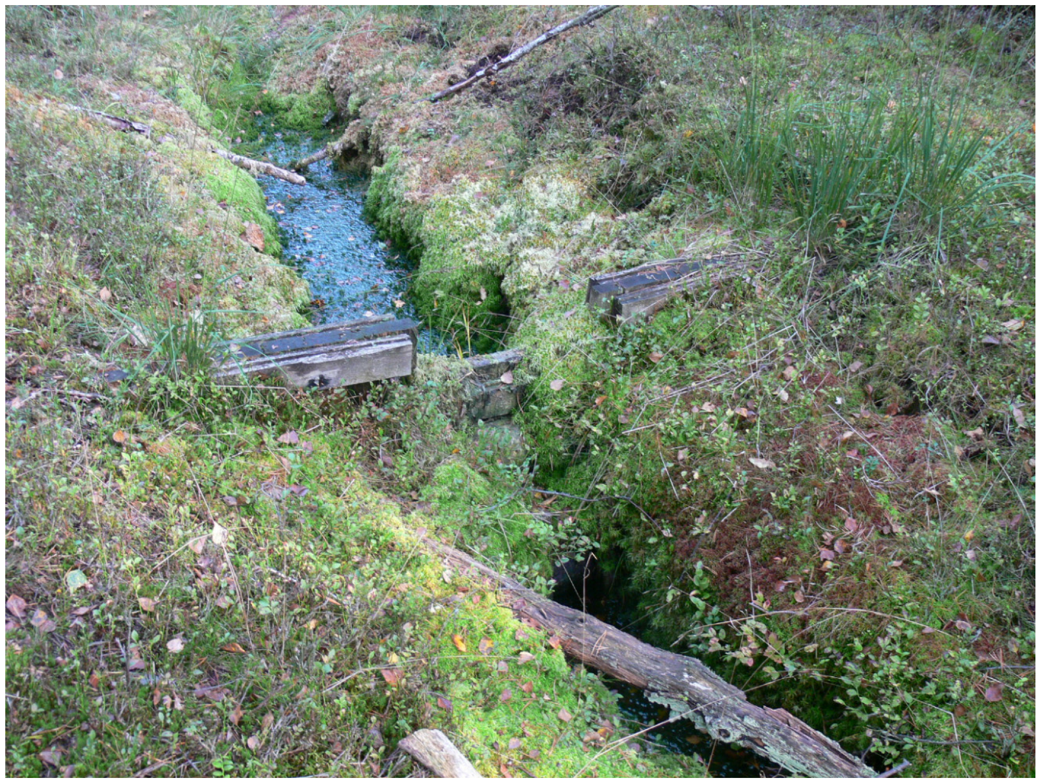 Forests 07 00202 g006