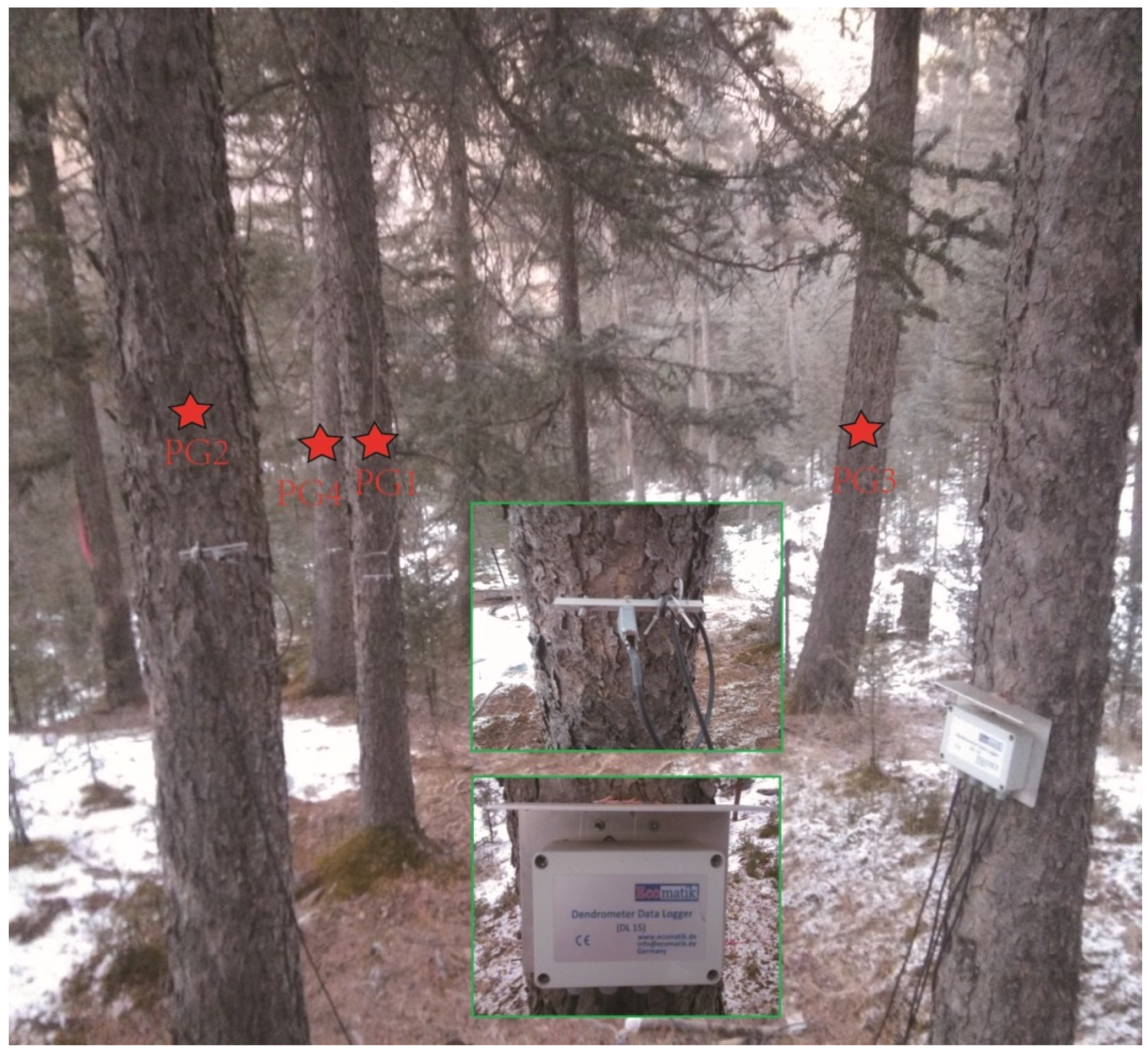 Forests 07 00210 g002