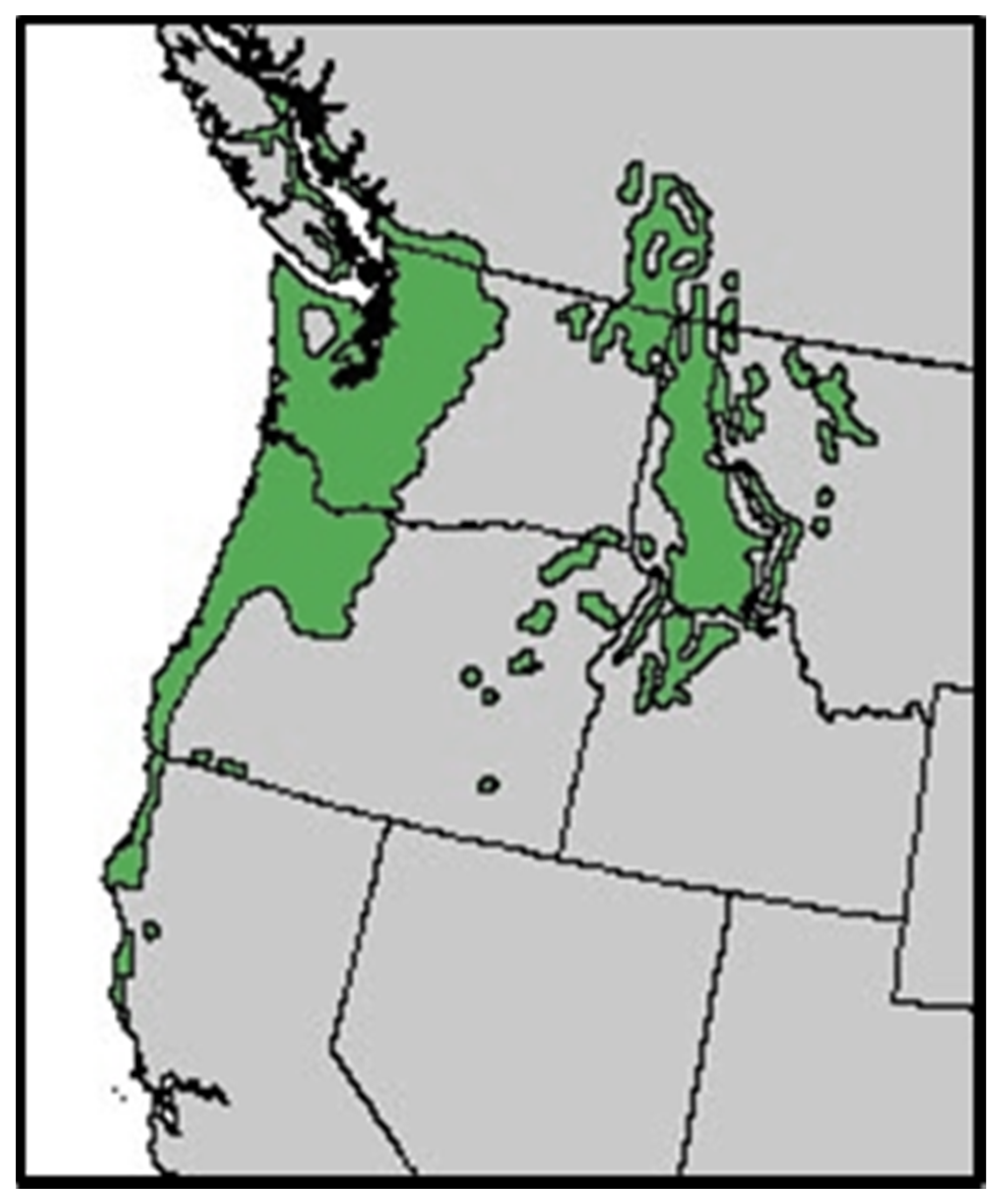 Forests 07 00261 g001