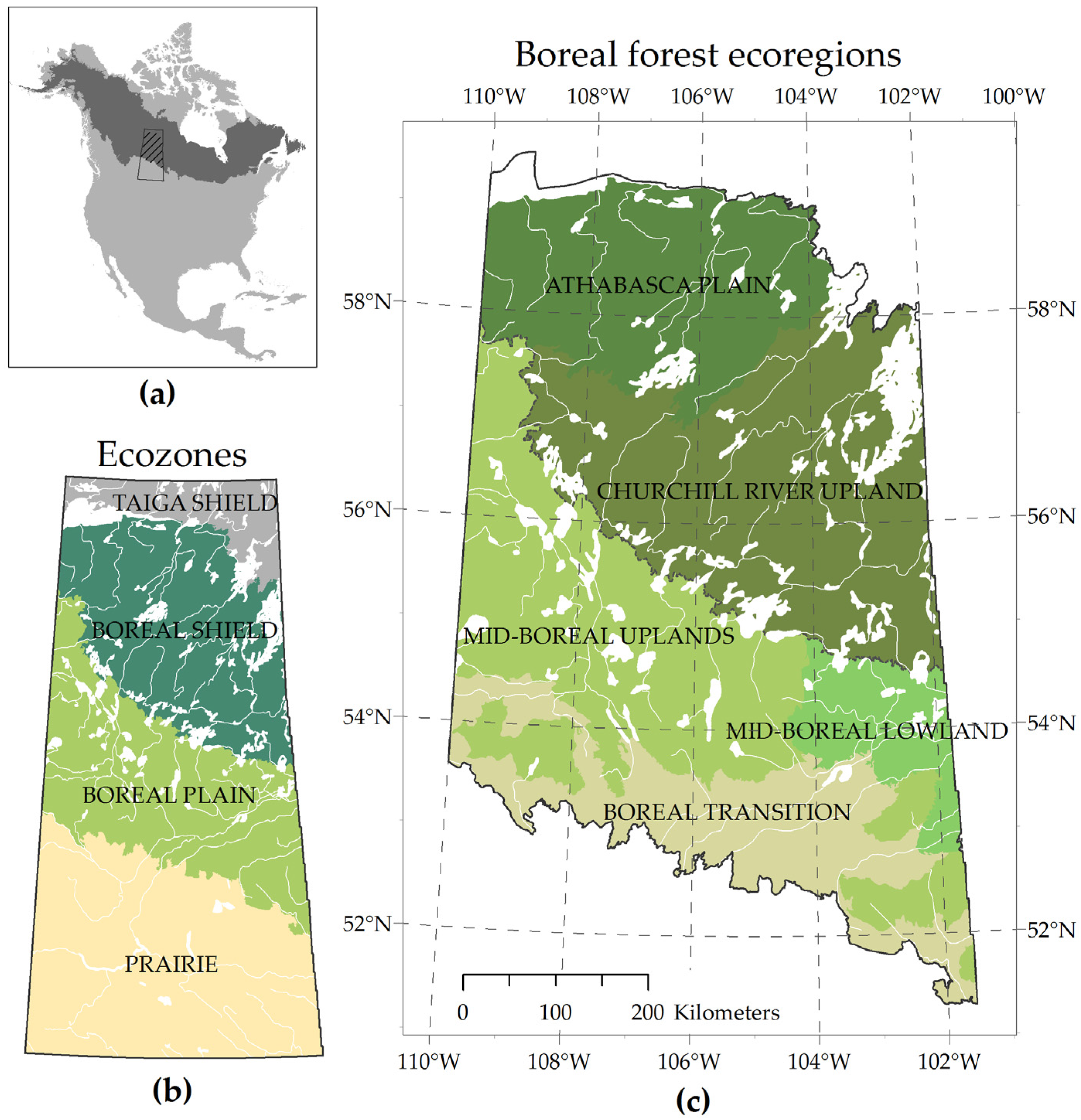 Forests 07 00265 g001