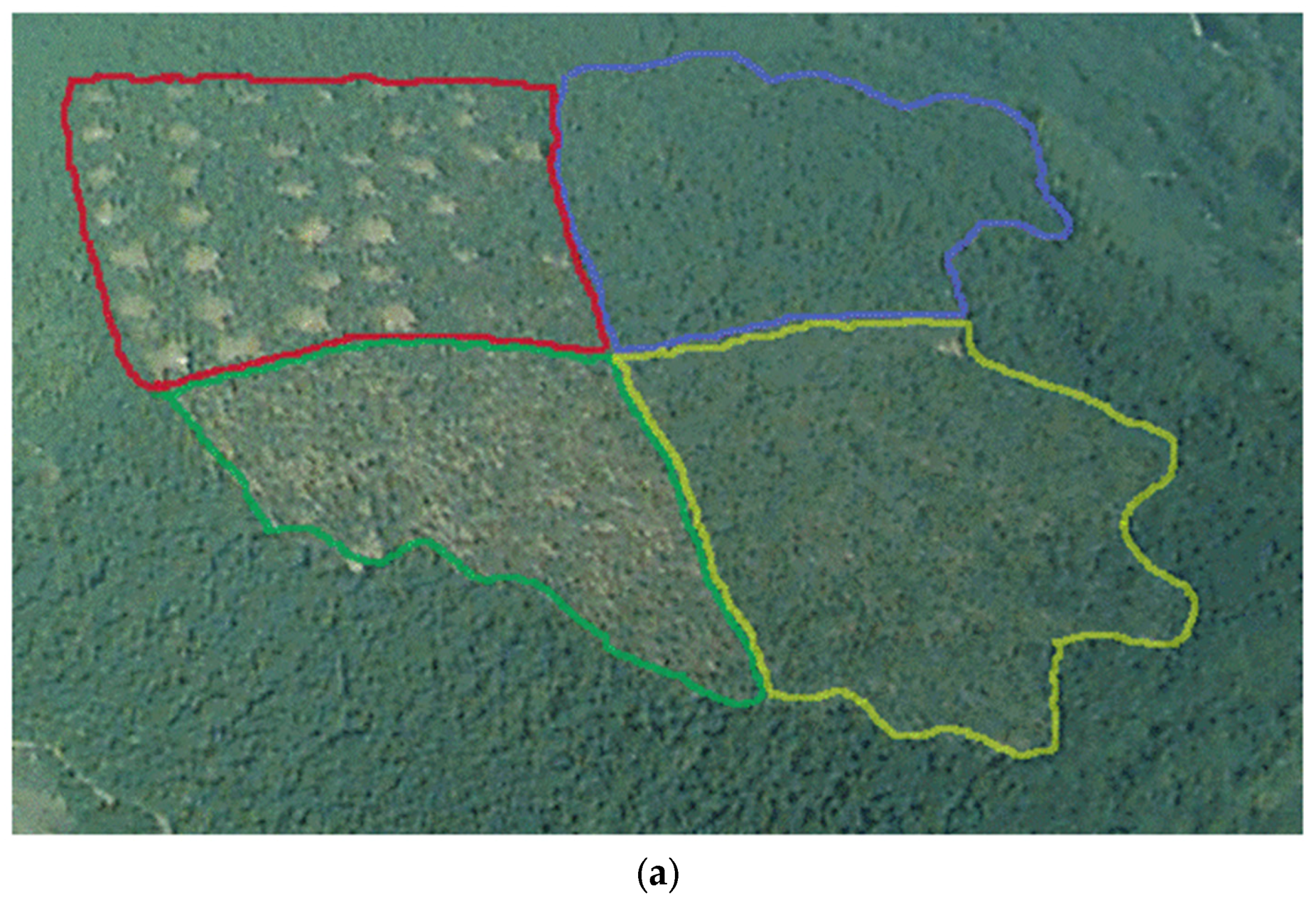 Forests 07 00310 g002a