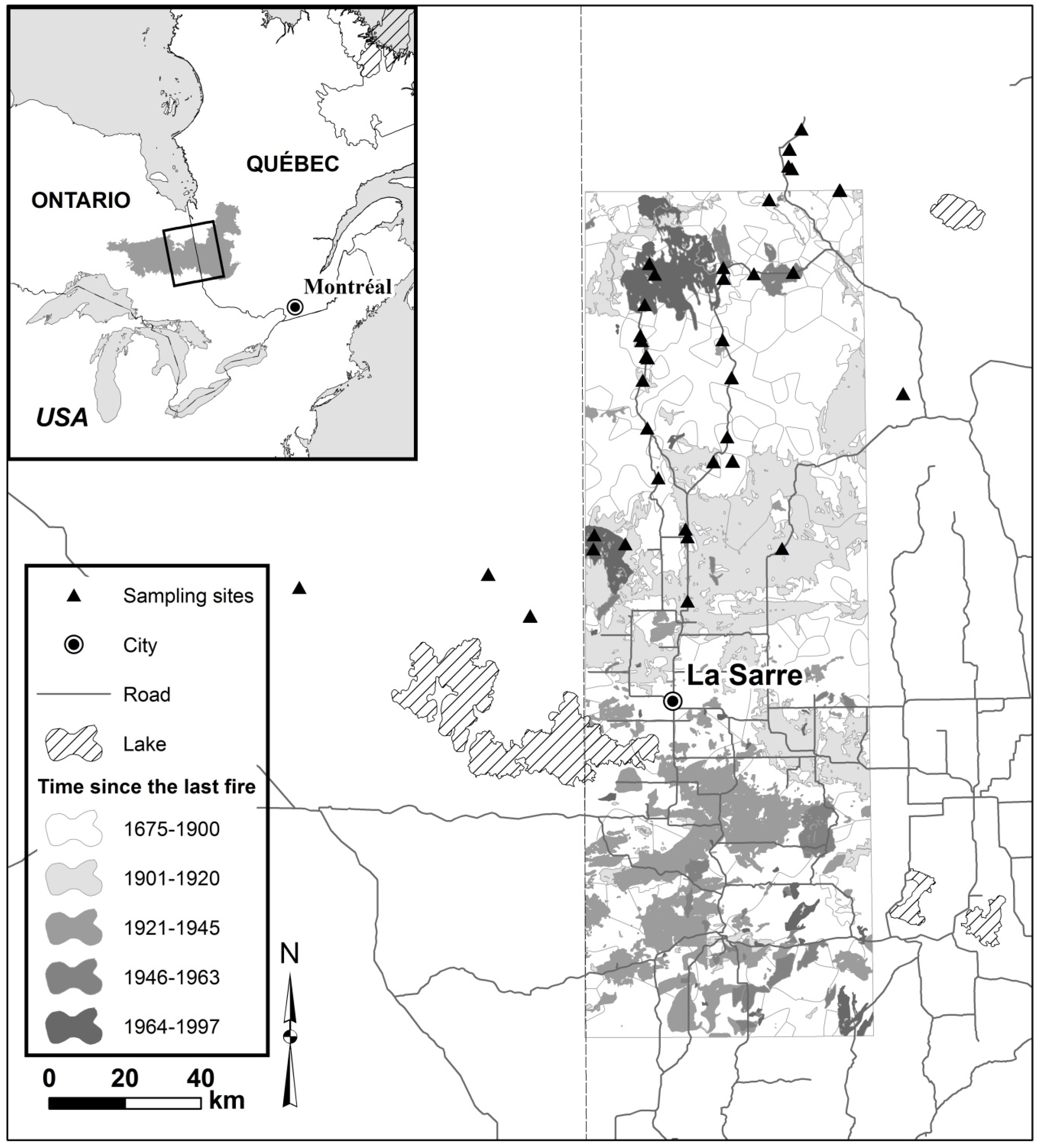 Forests 08 00009 g001