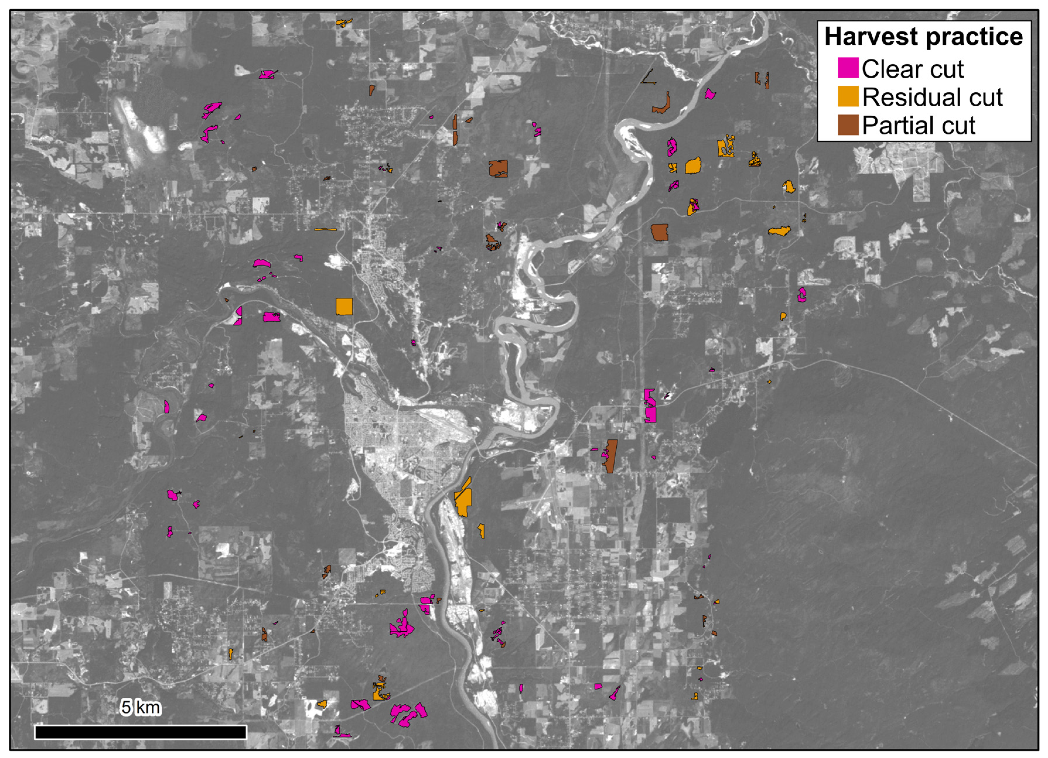 Forests 08 00015 g004