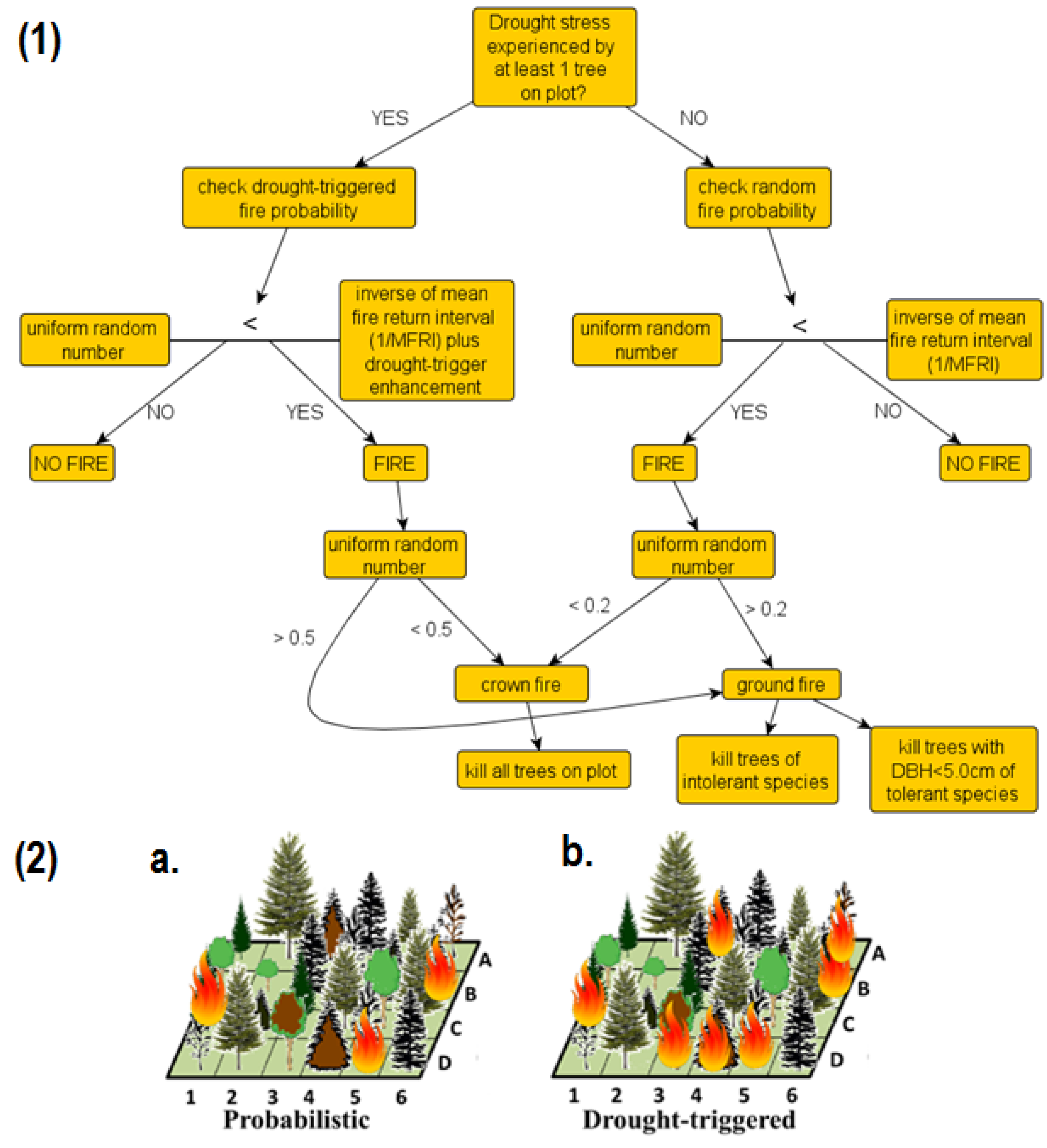 Forests 08 00049 g001