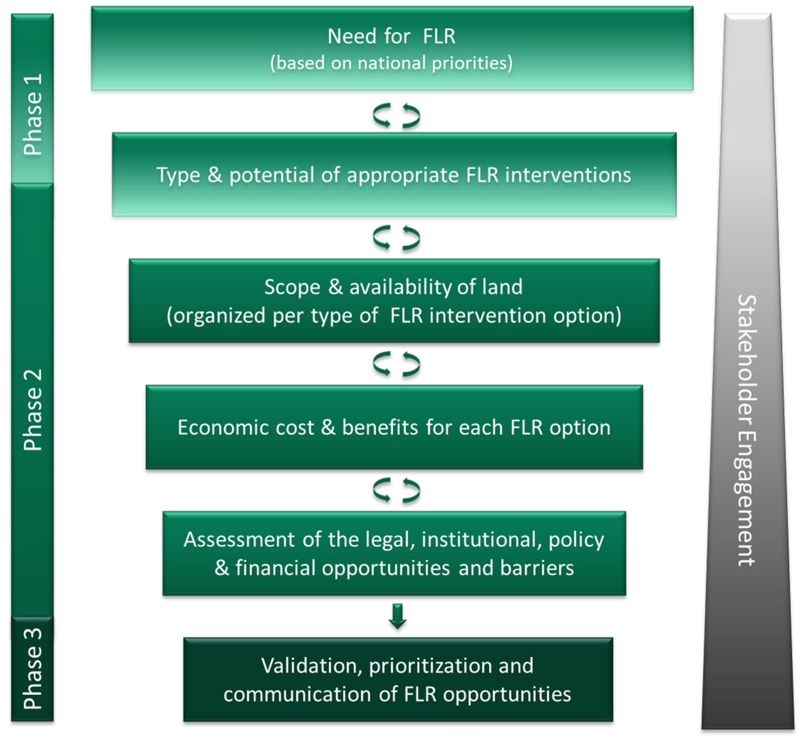 Forests 08 00061 g001