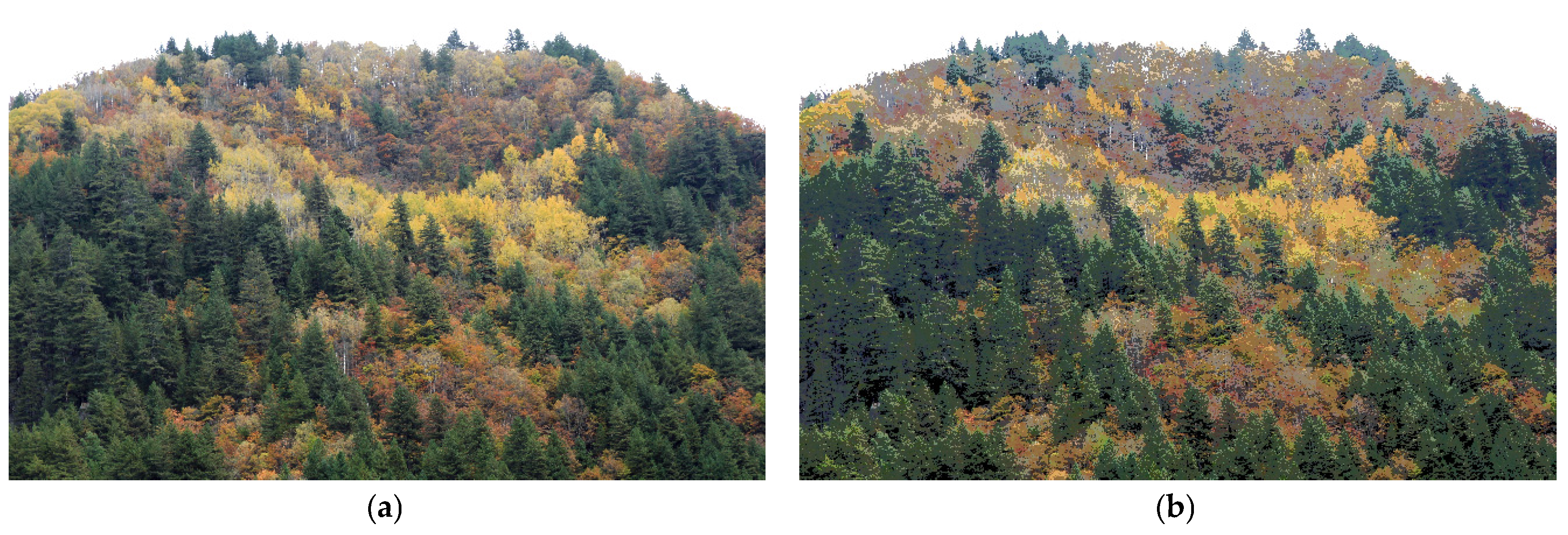 Forests 08 00063 g003