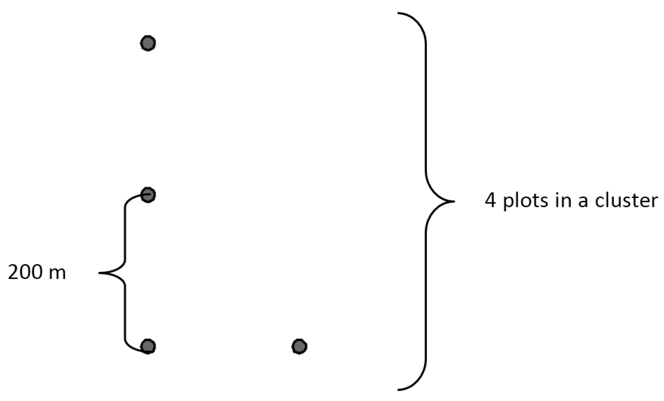 Forests 08 00072 g002