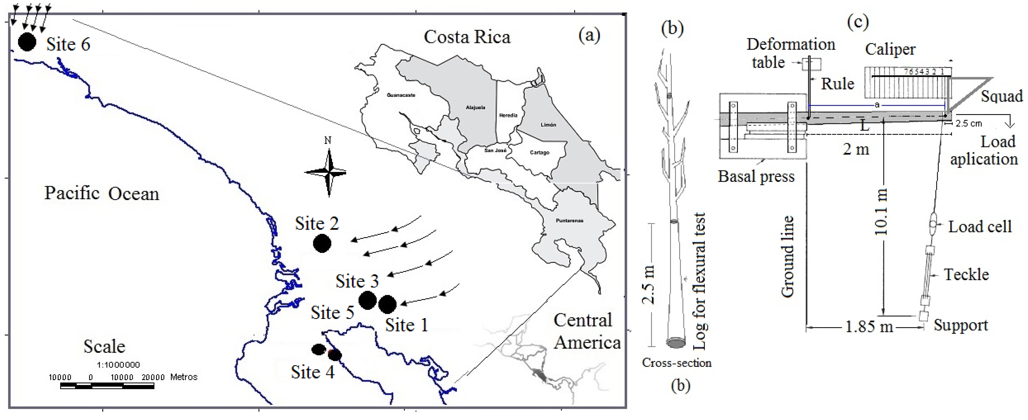 Forests 08 00079 g001