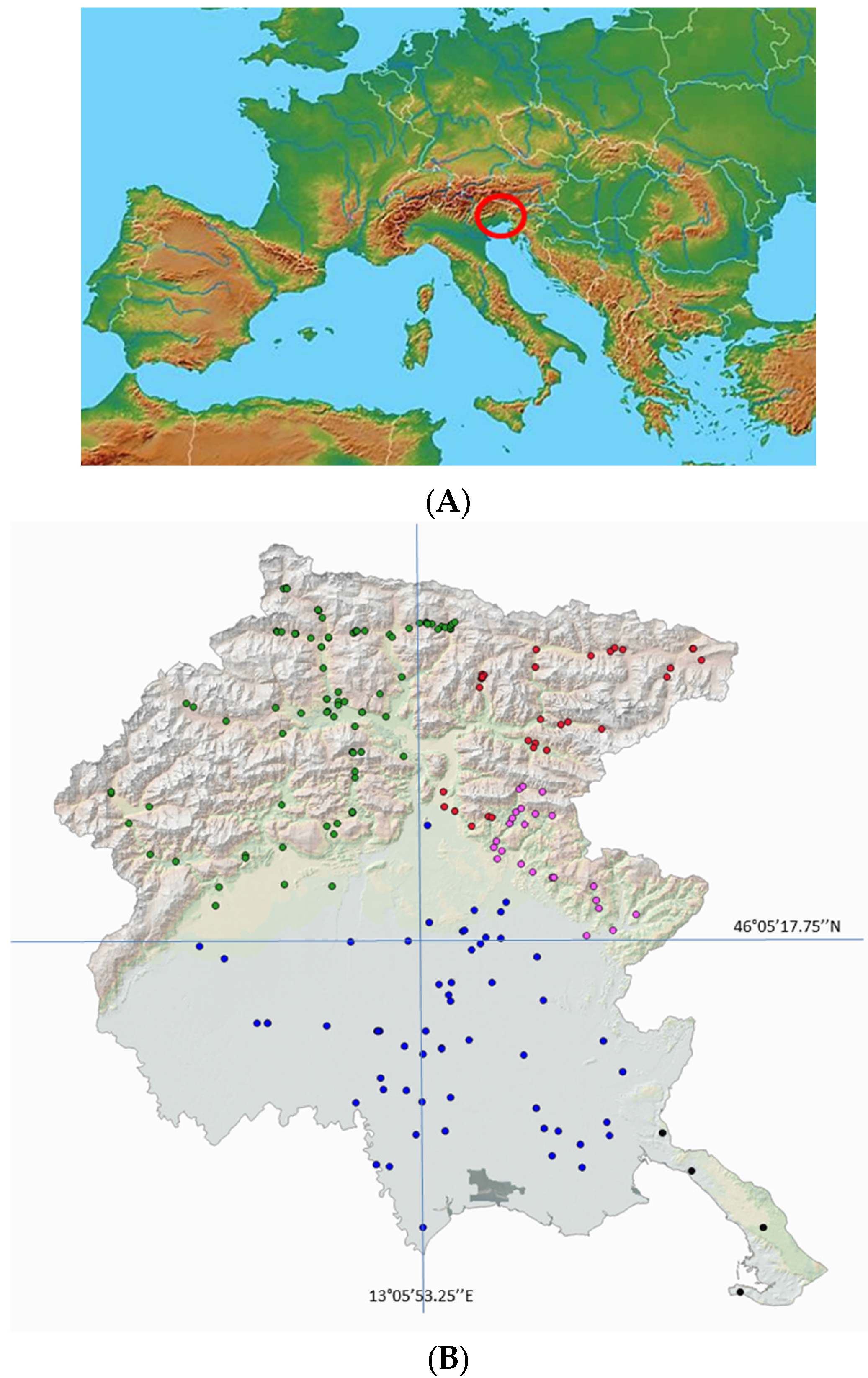 Forests 08 00081 g001