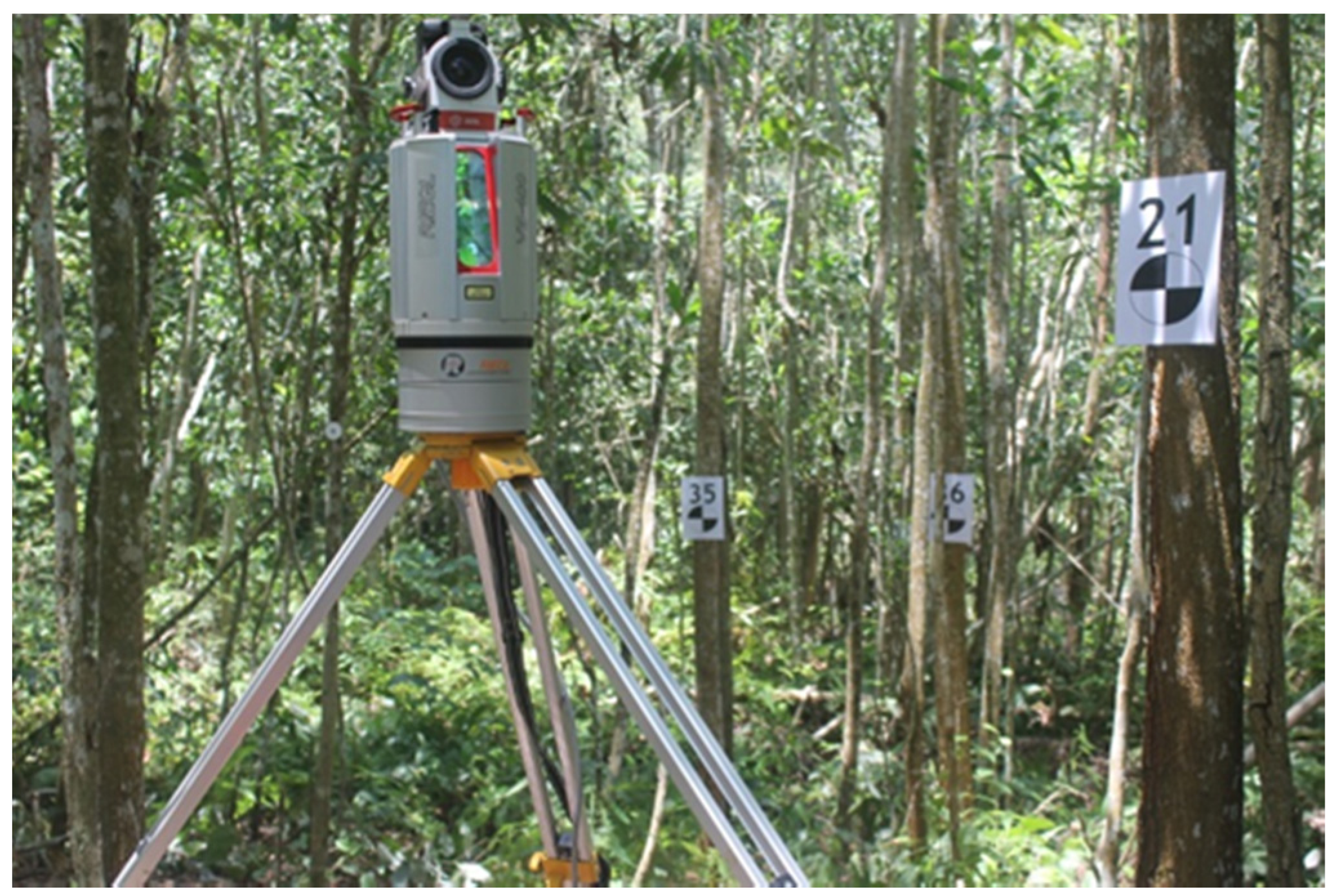 Forests 08 00086 g004