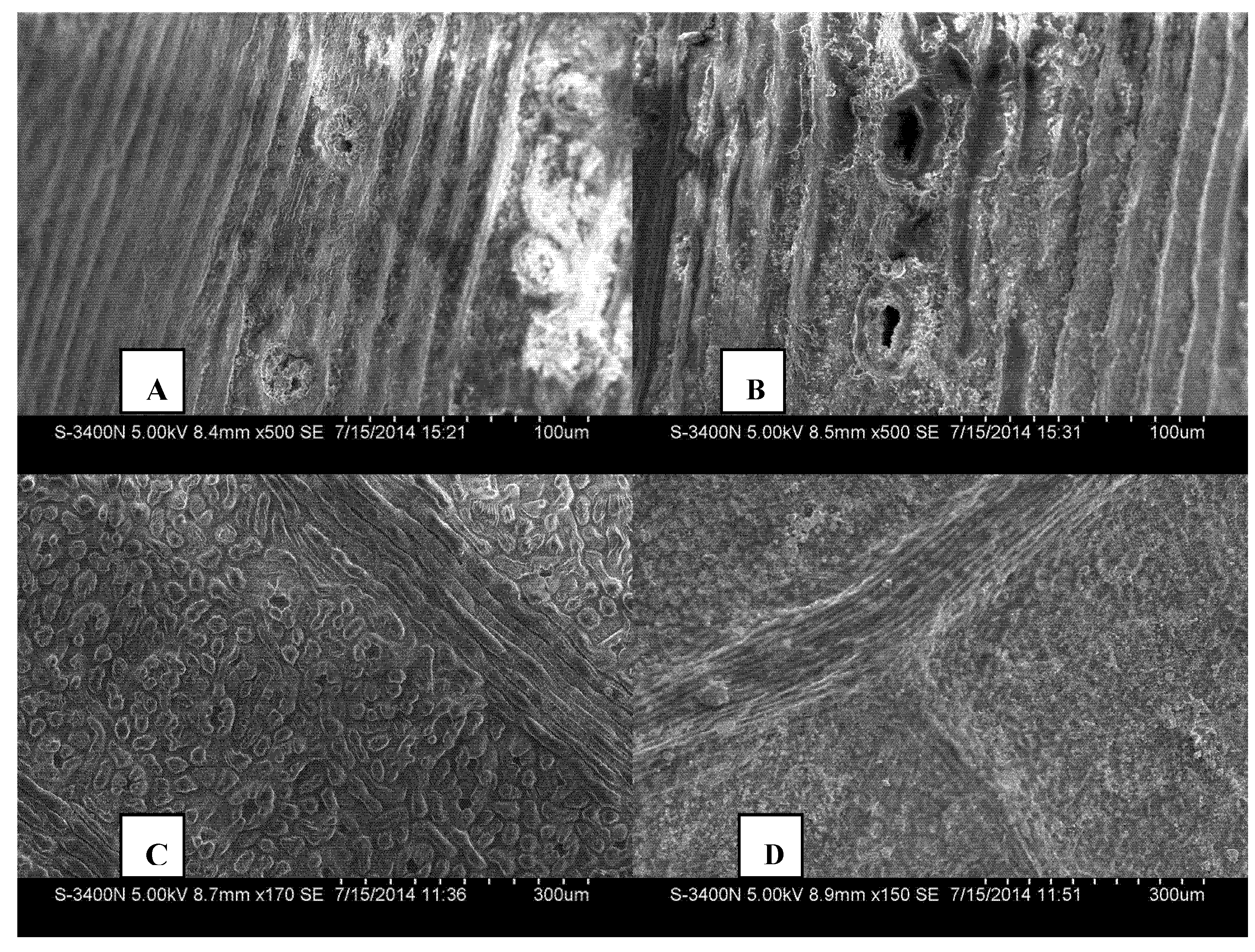 Forests 08 00092 g005a