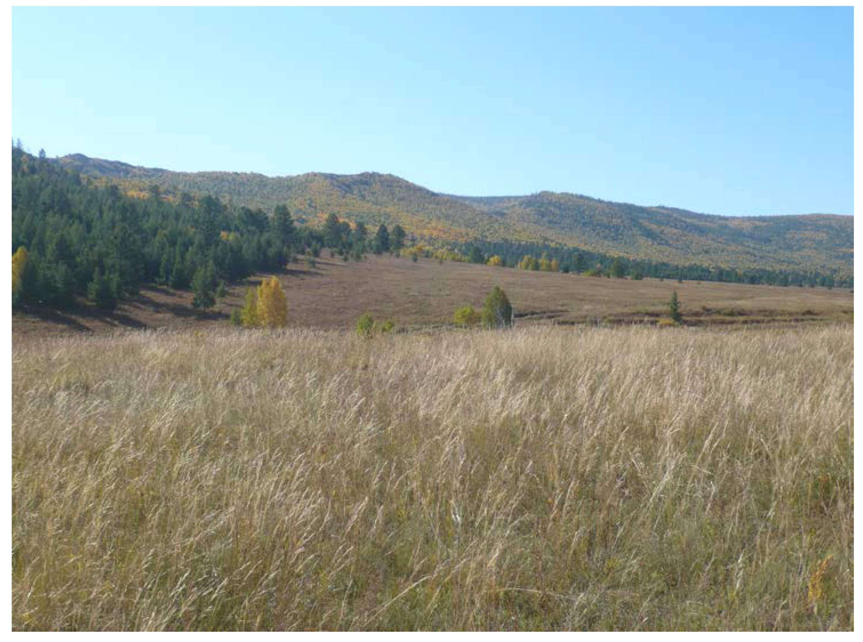Forests 08 00105 g009