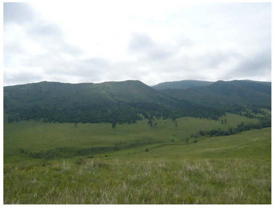 Forests 08 00105 g011