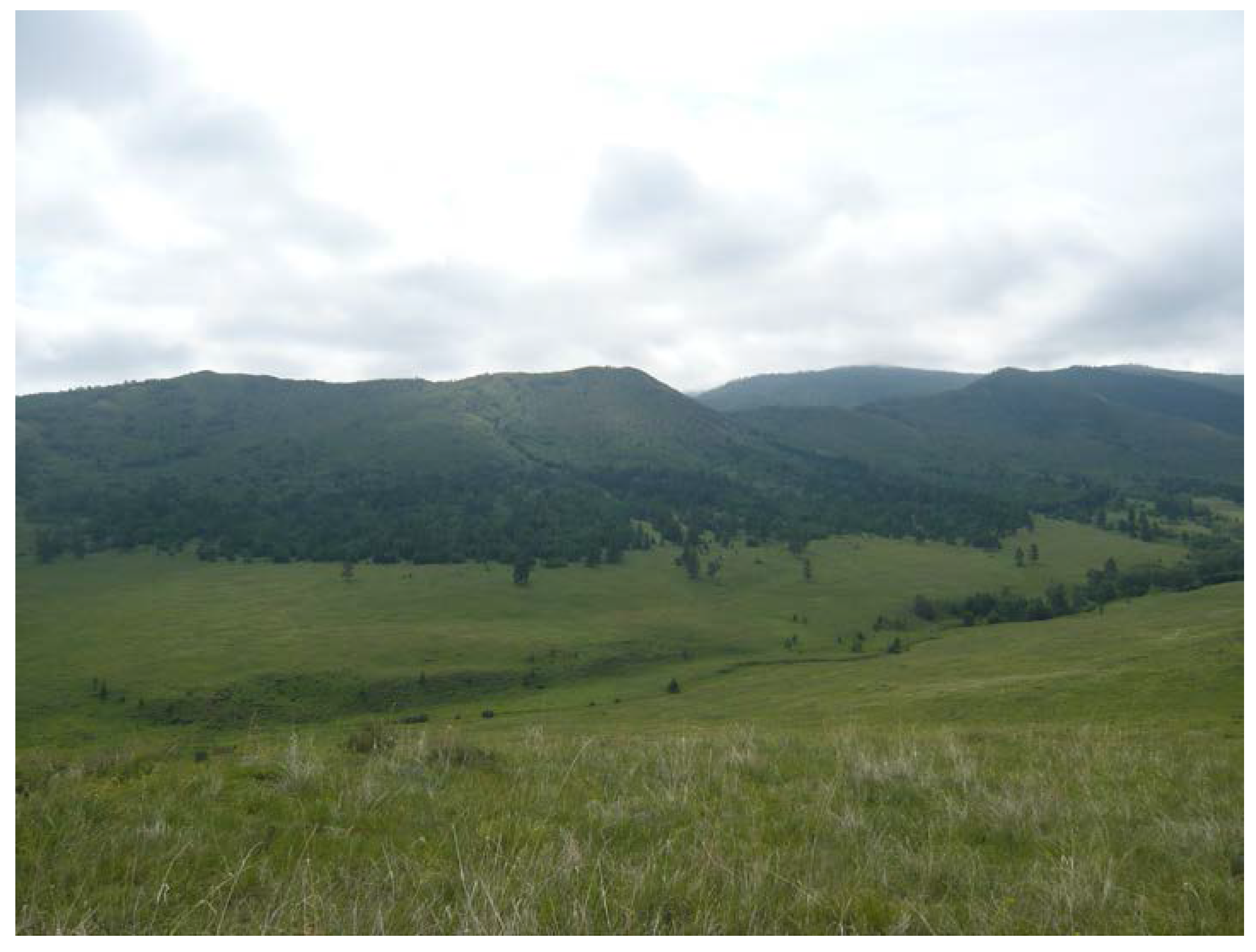 Forests 08 00105 g011