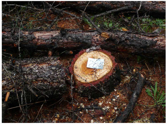 Forests 08 00105 g012