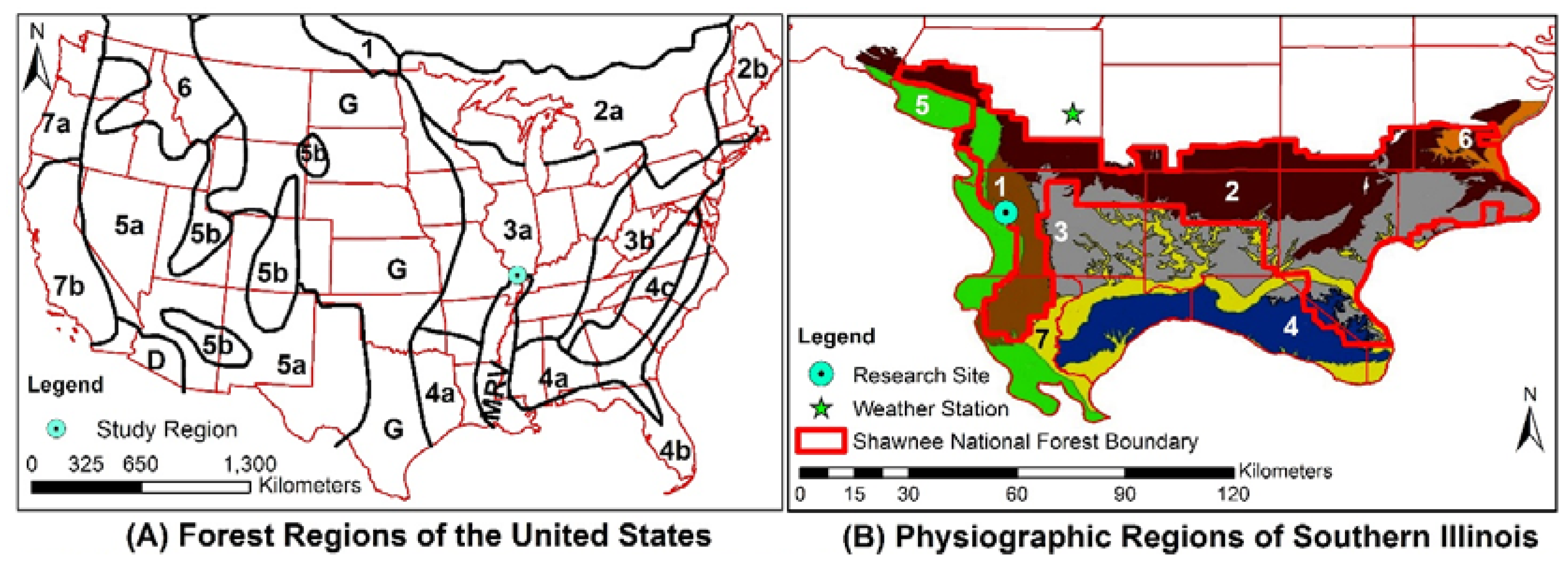 Forests 08 00112 g001a