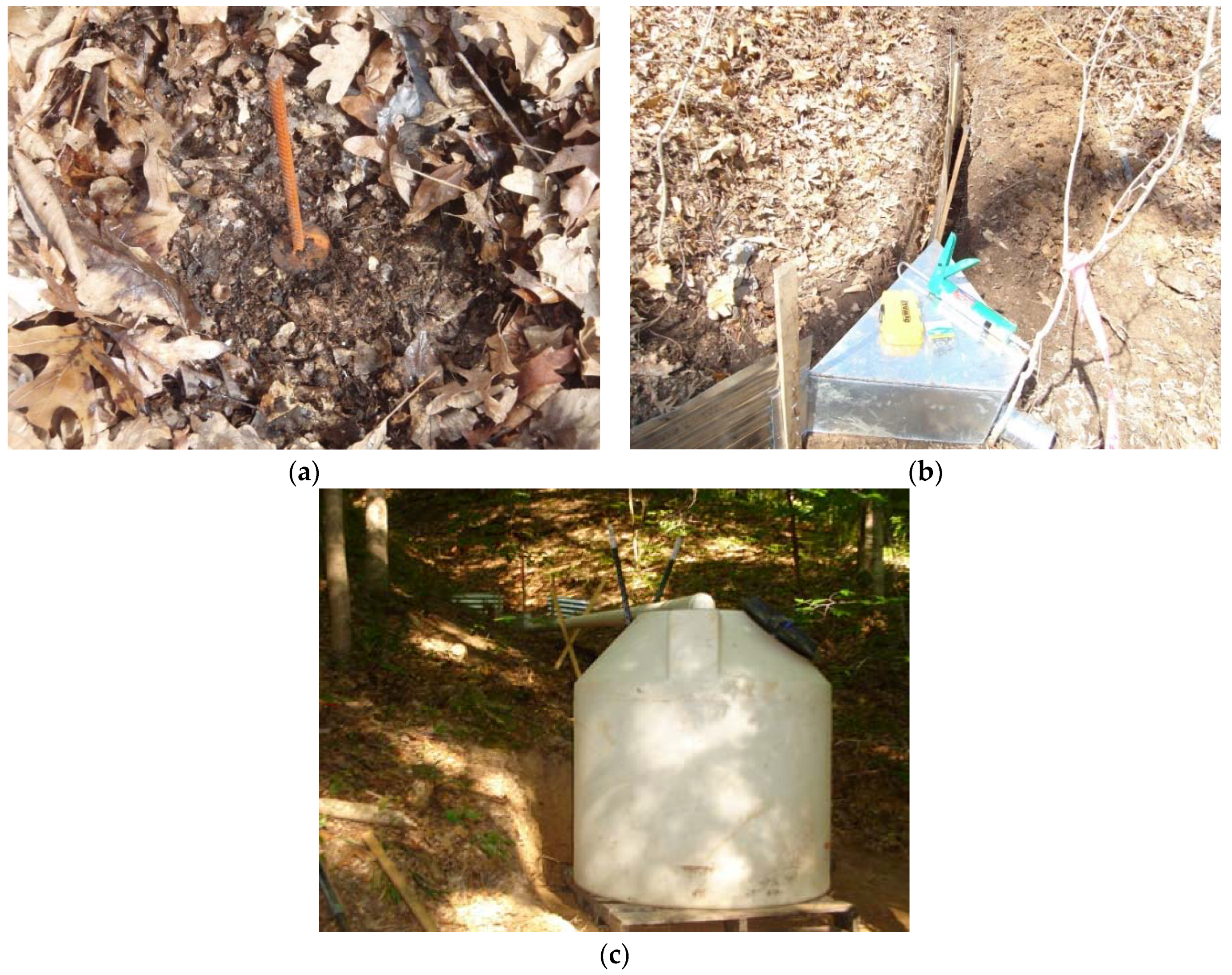 Forests 08 00112 g002