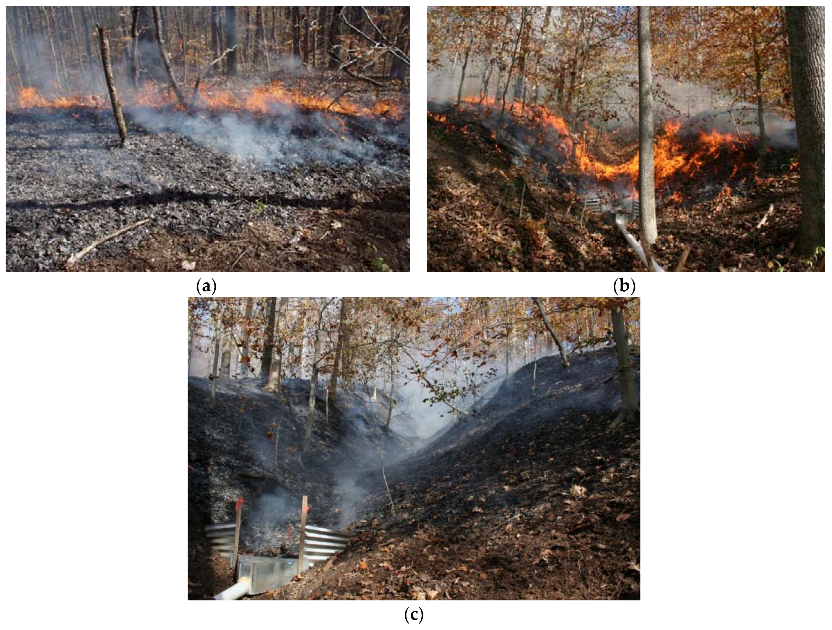 Forests 08 00112 g003