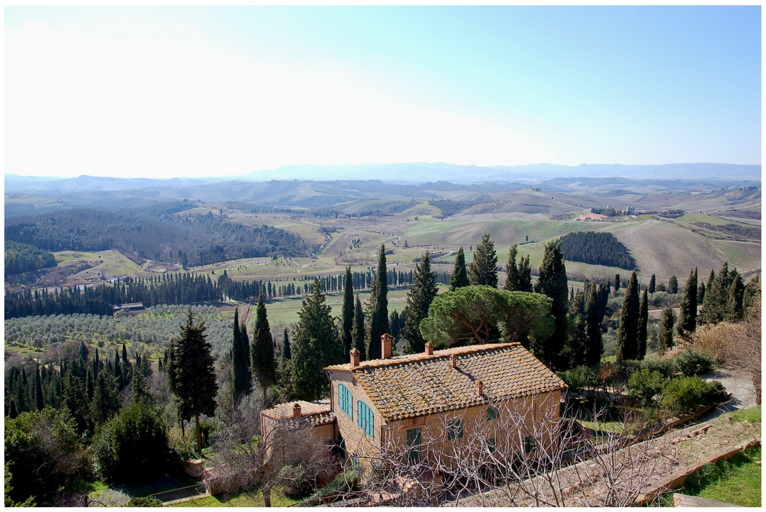 Forests 08 00121 g009