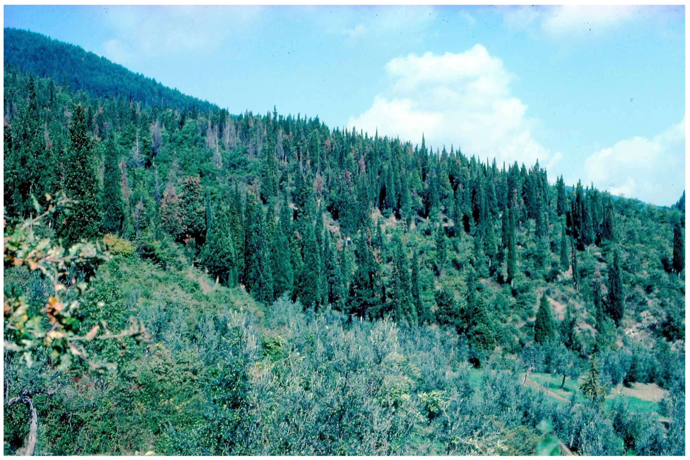 Forests 08 00121 g012