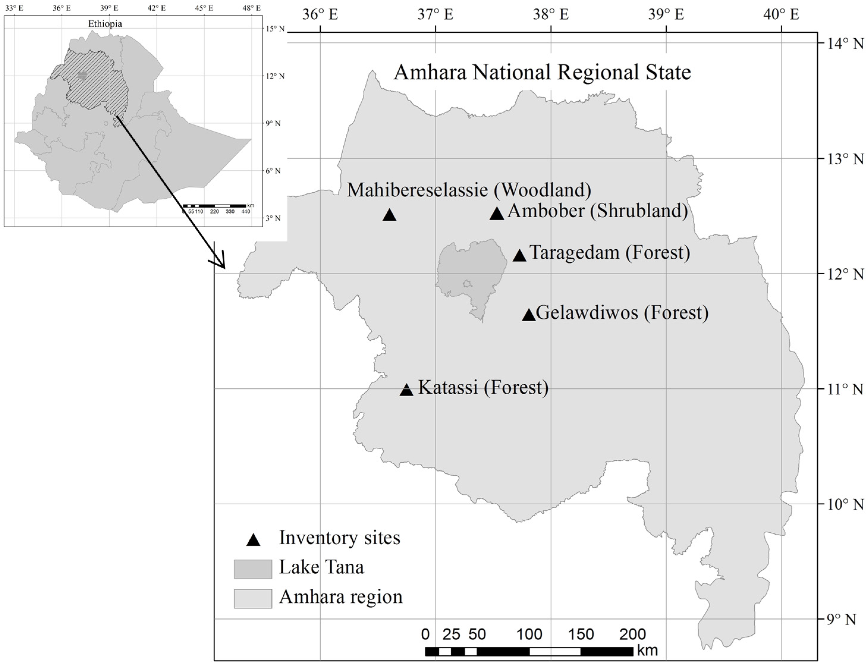 Forests 08 00122 g001