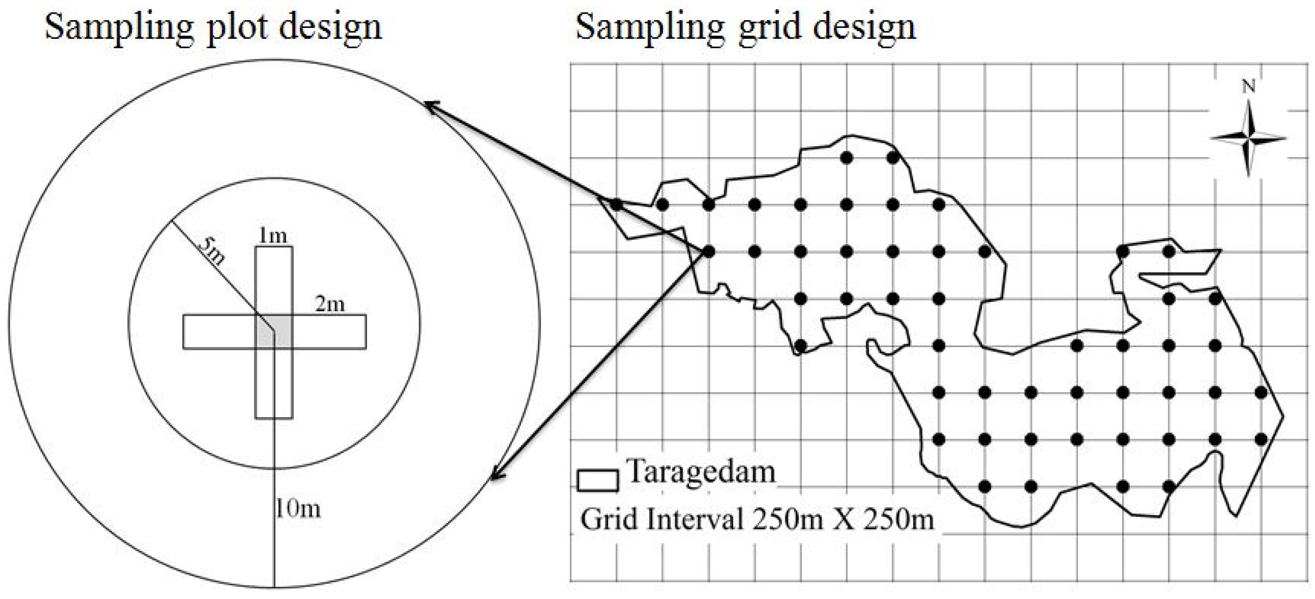 Forests 08 00122 g002