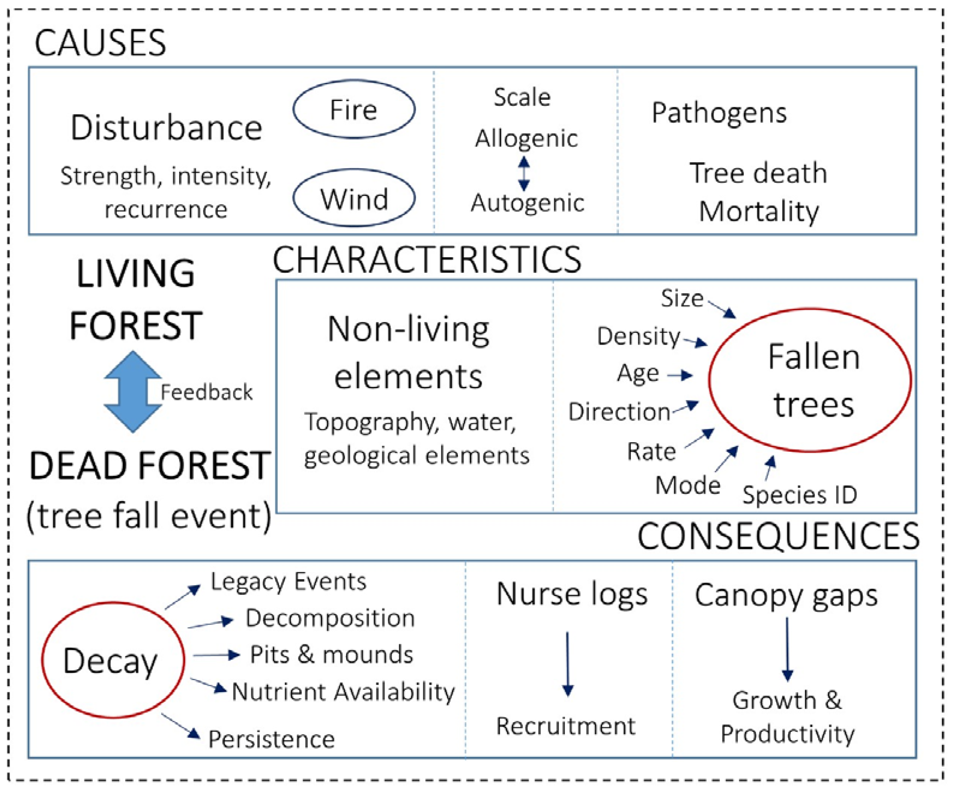 Forests 08 00123 g001