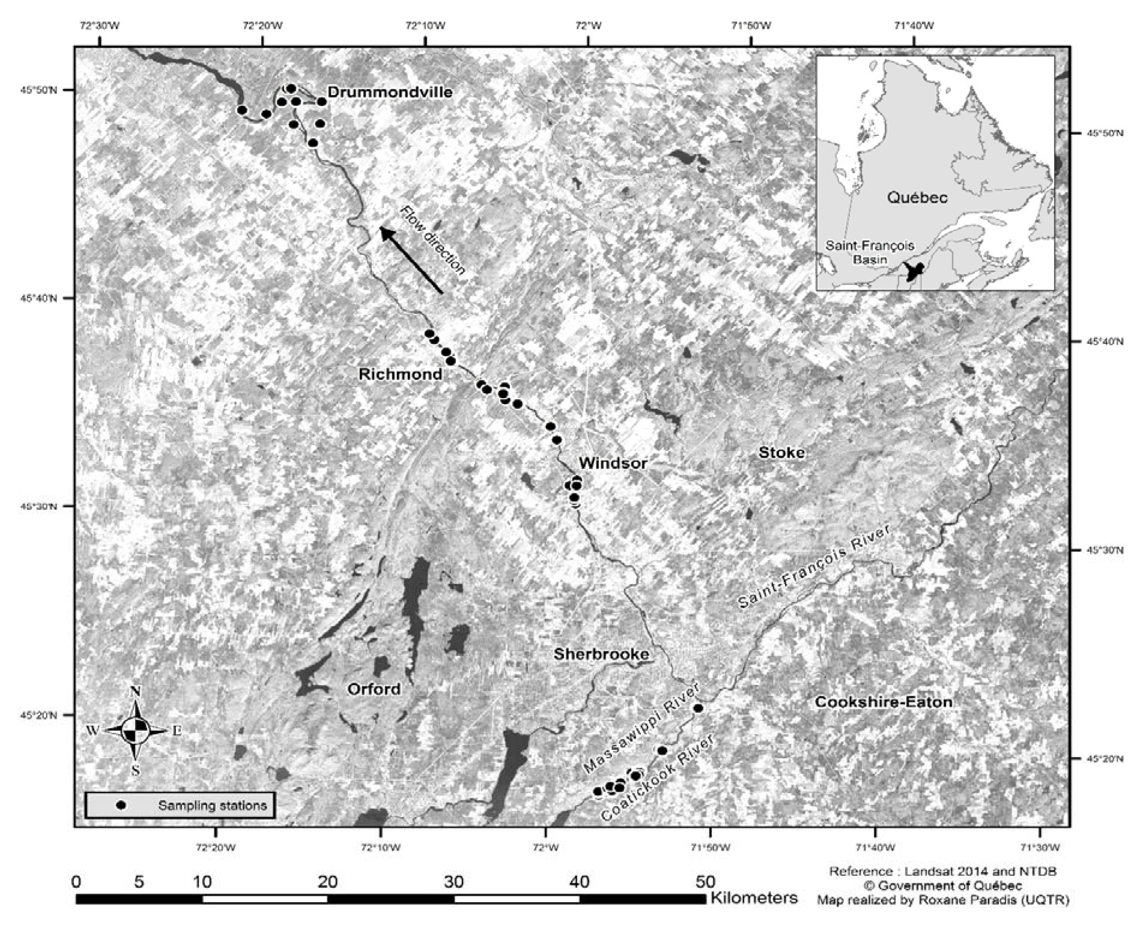 Forests 08 00124 g001