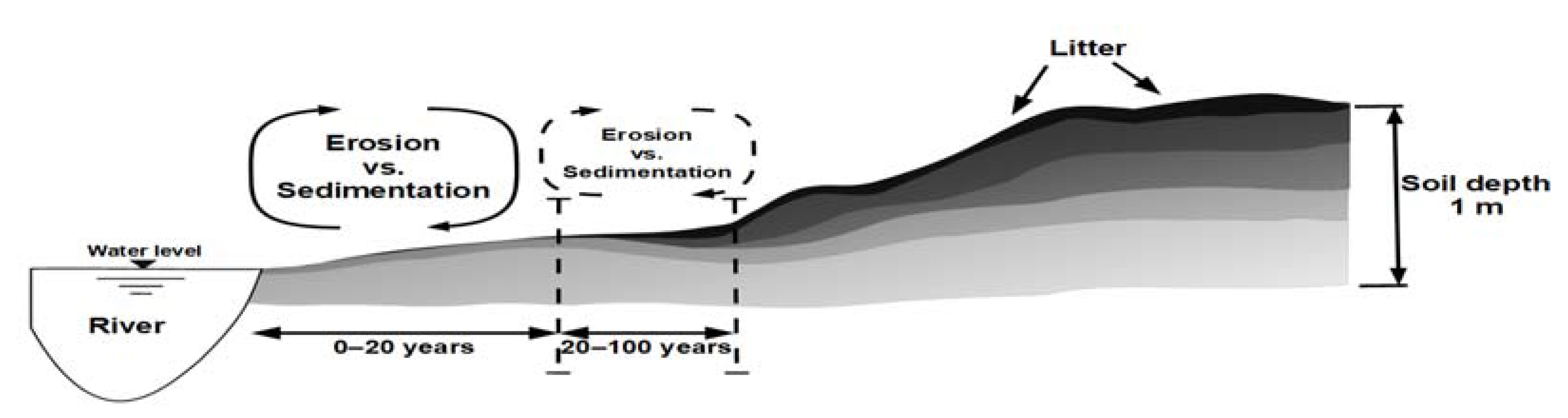 Forests 08 00124 g005