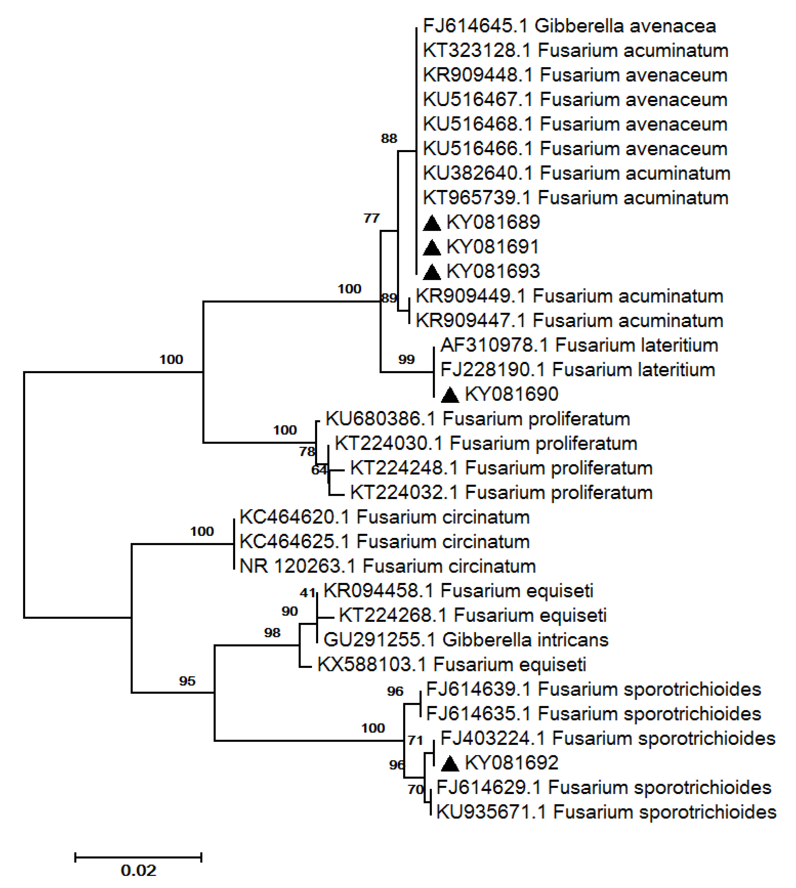 Forests 08 00127 g003