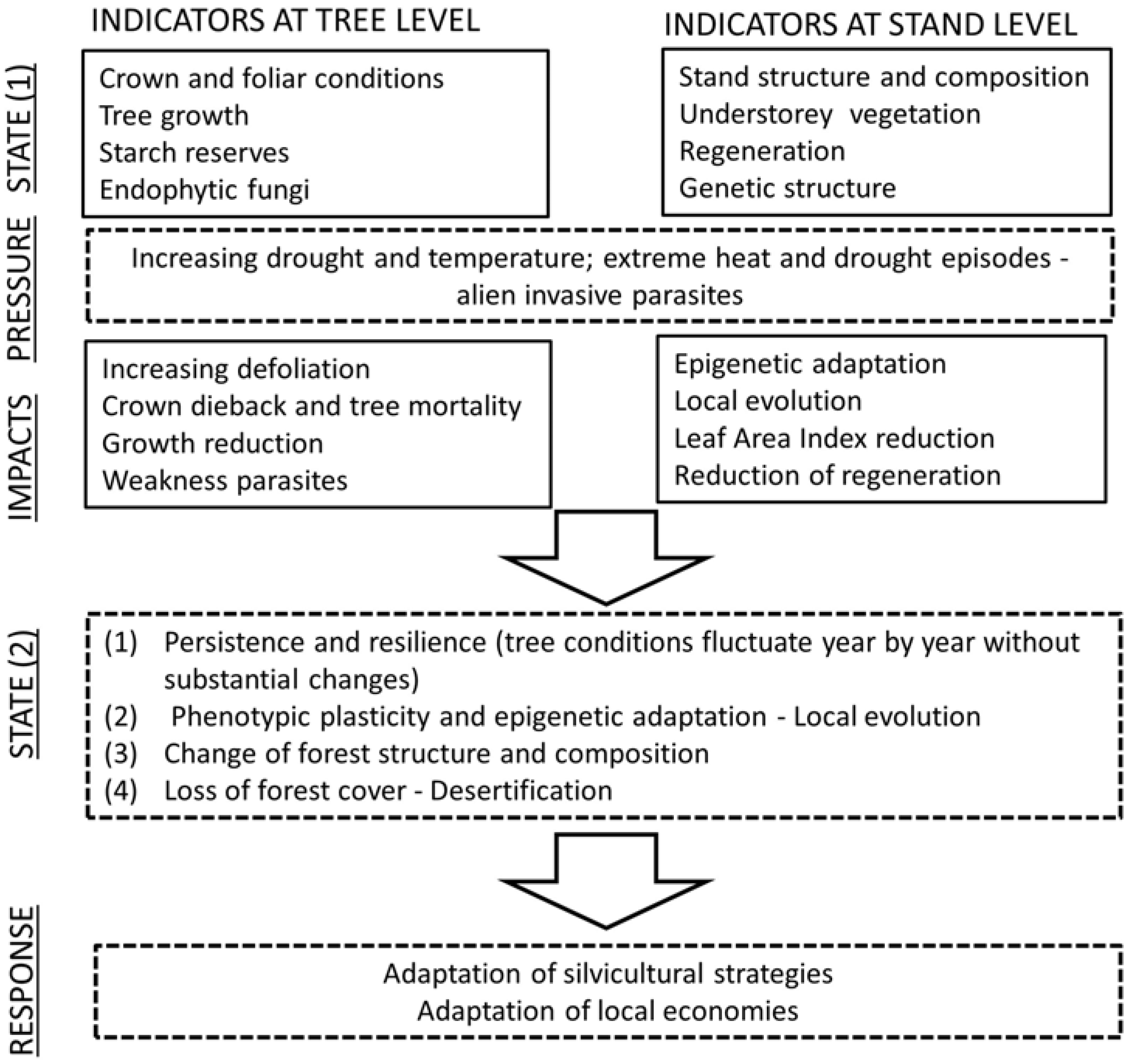 Forests 08 00137 g001