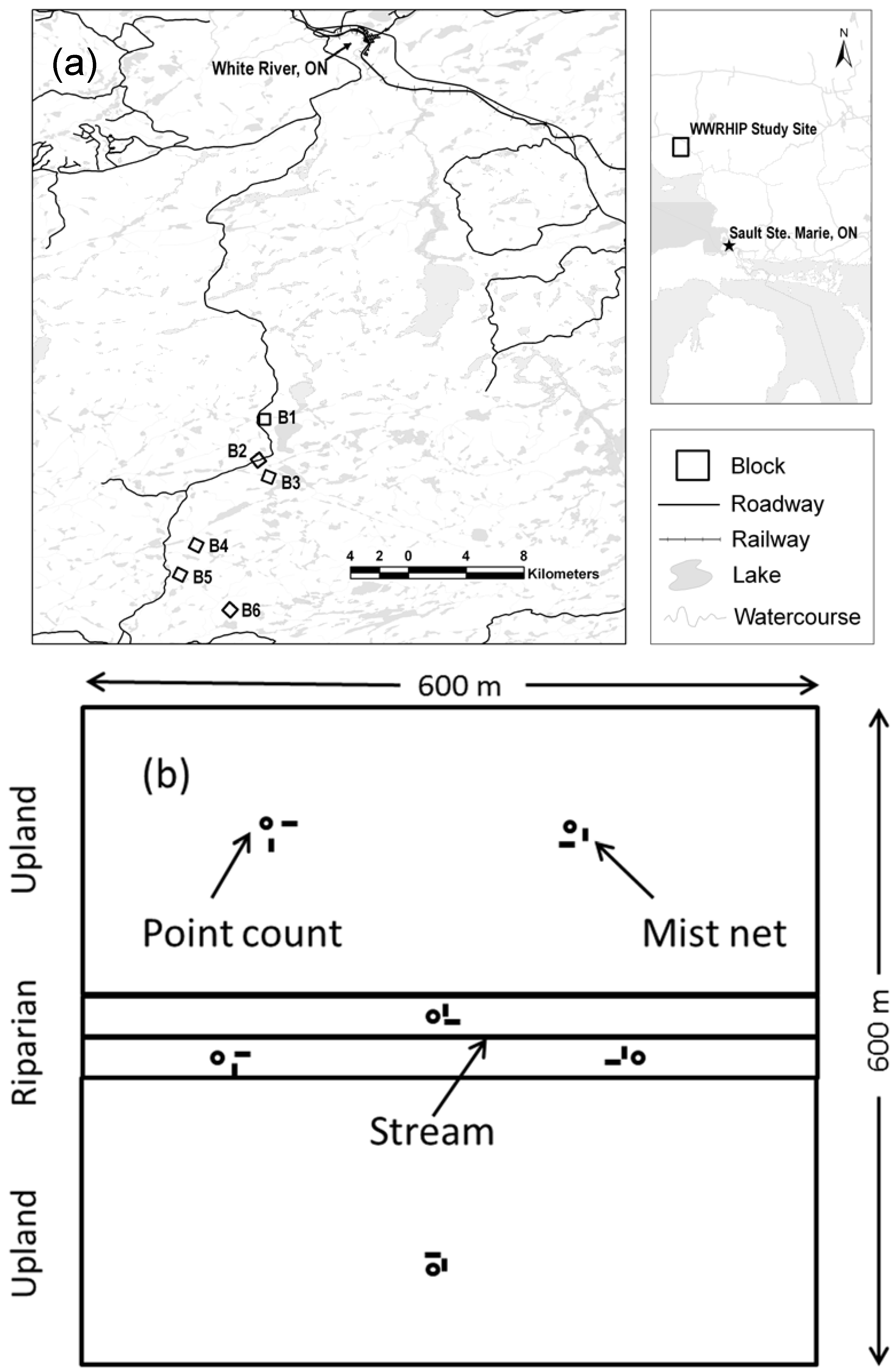 Forests 08 00141 g001