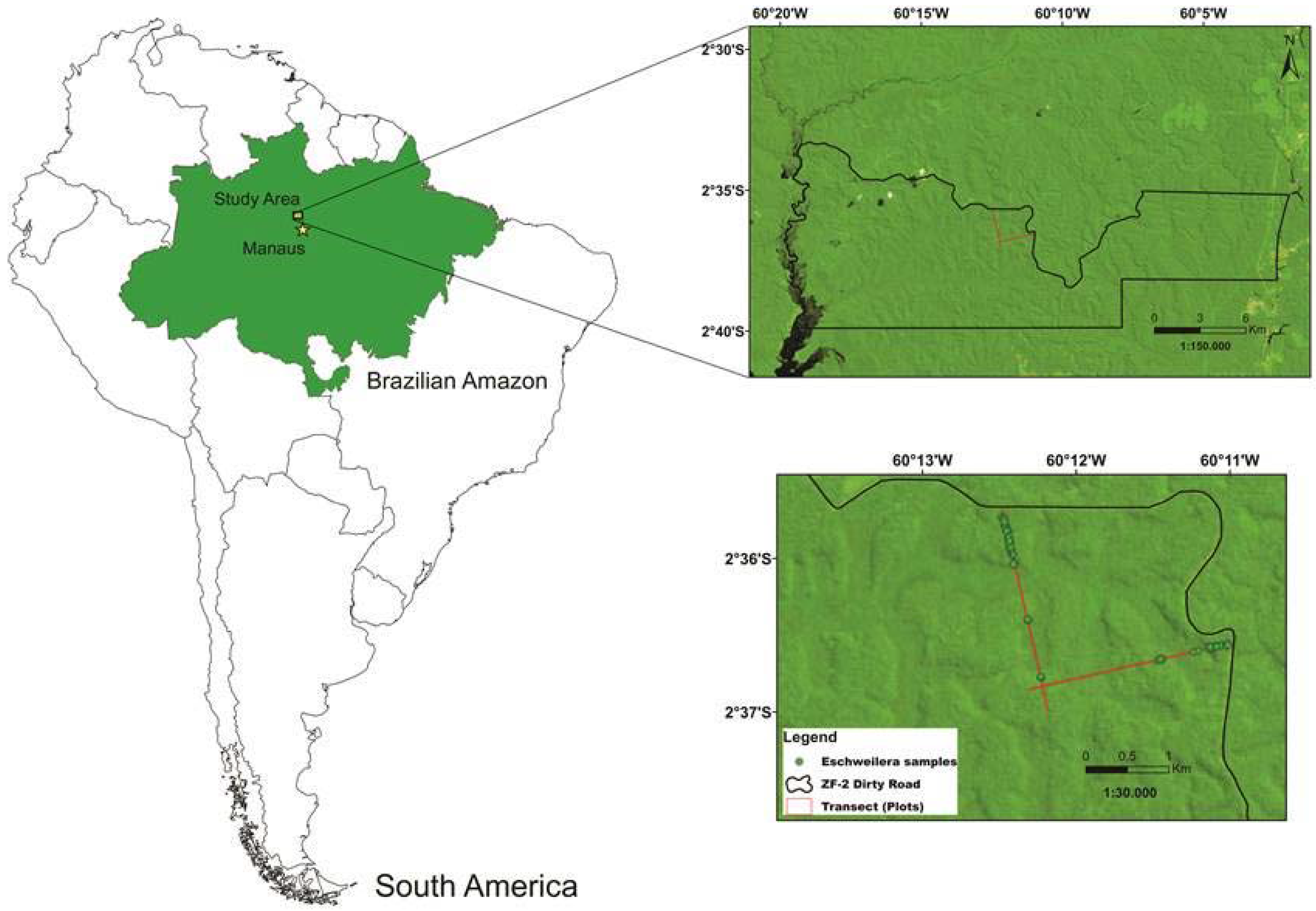 Forests 08 00154 g001