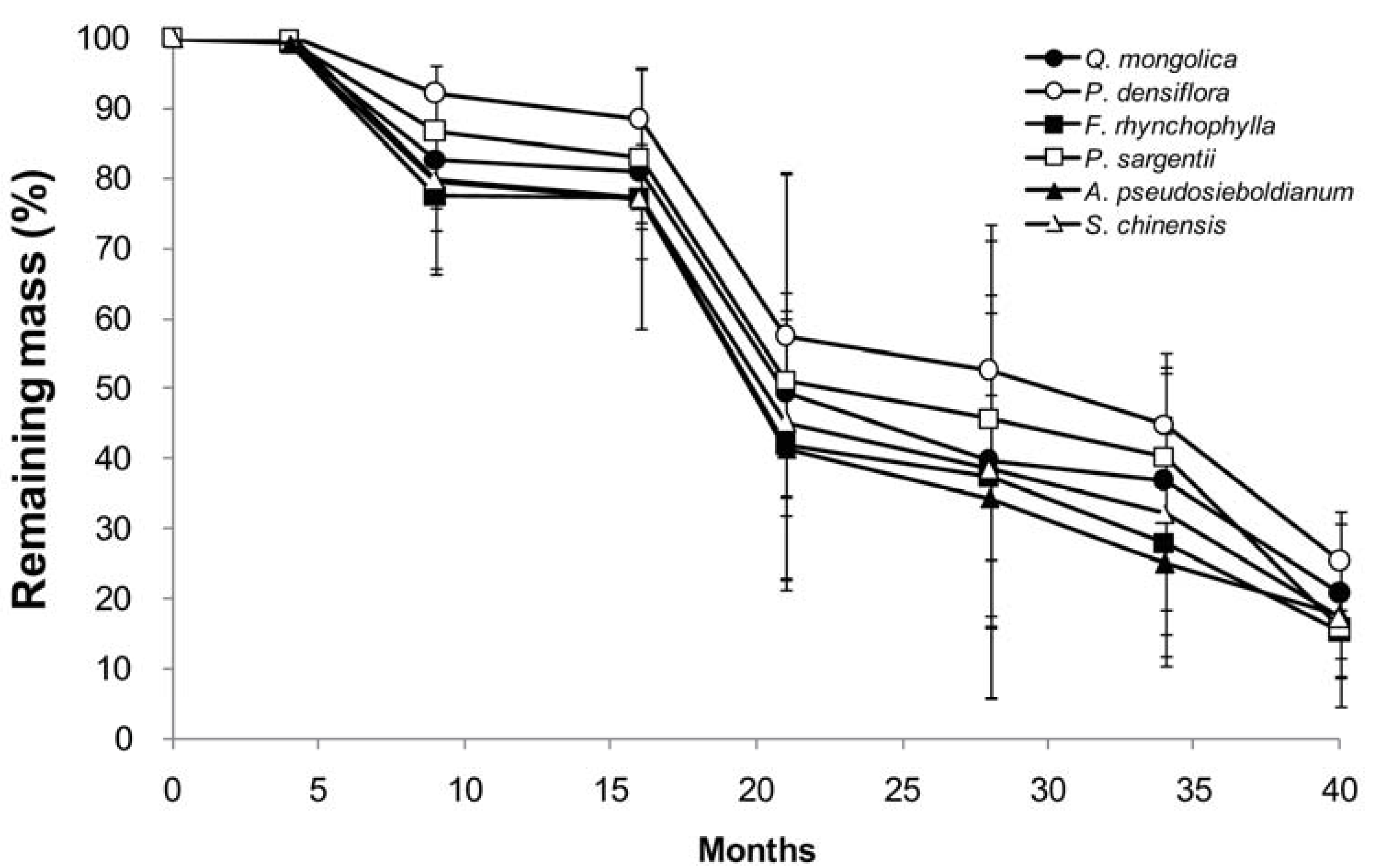 Forests 08 00176 g001
