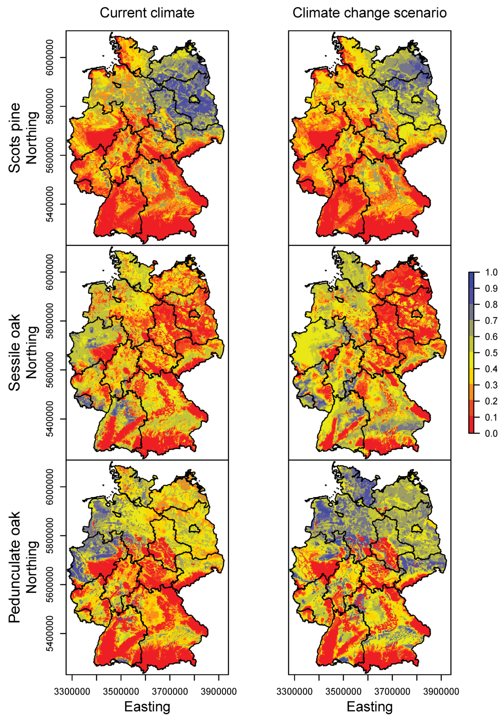 Forests 08 00181 g003b