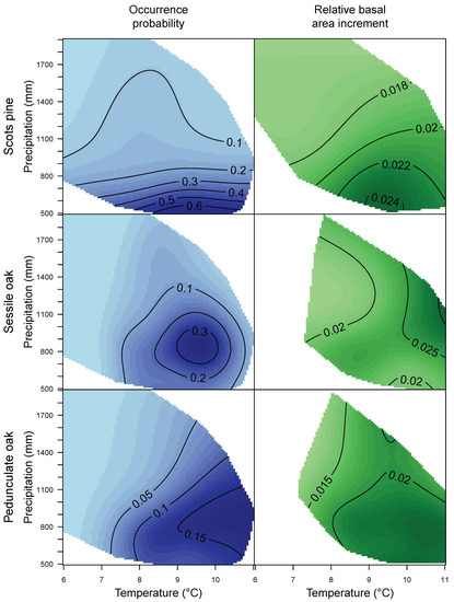 Forests 08 00181 g009b 550