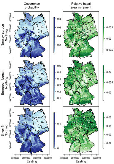 Forests 08 00181 g010a 550
