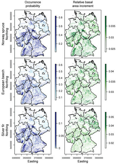Forests 08 00181 g011a 550